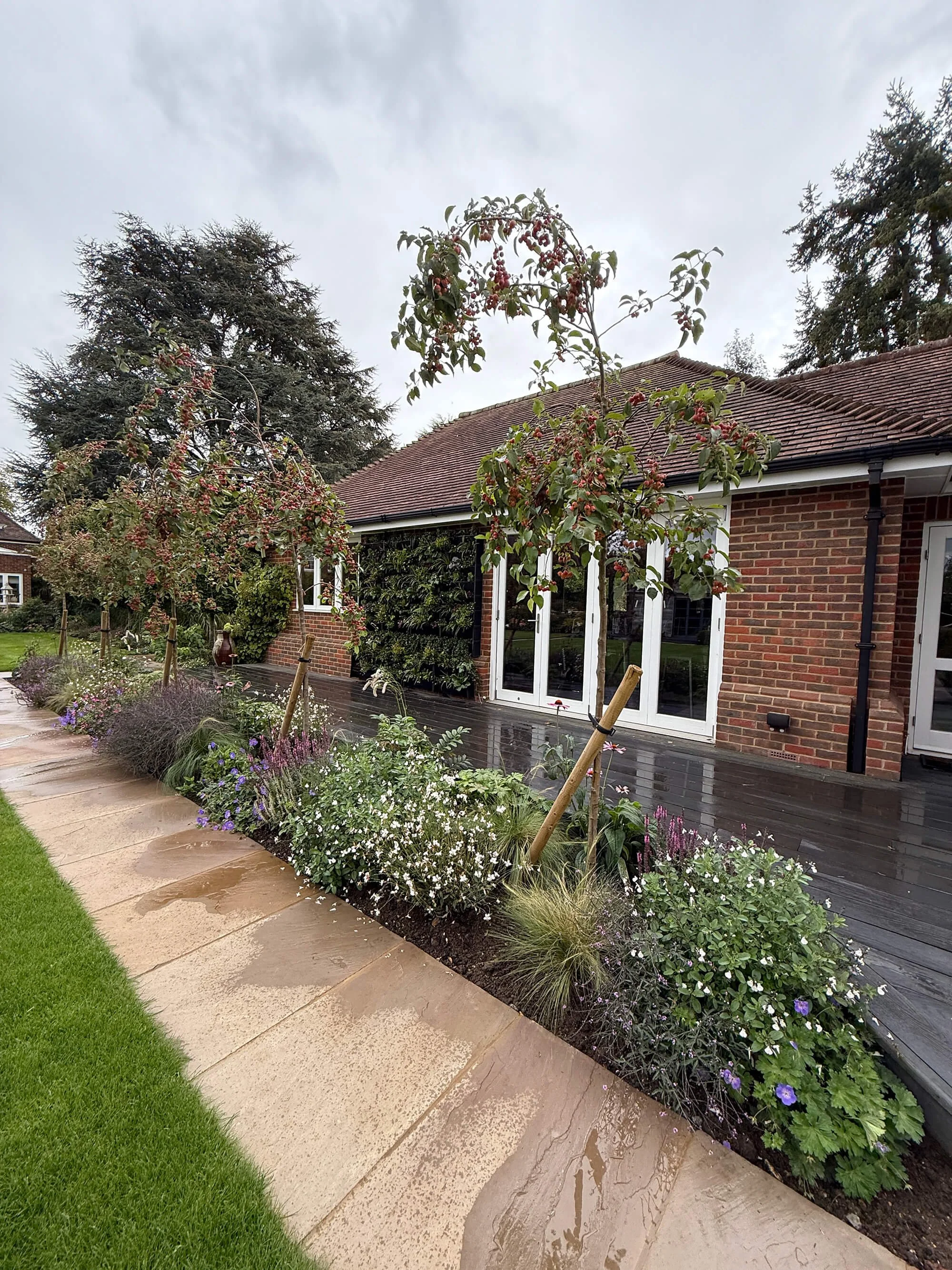 Mixed border with ornamental trees, grasses and perennials beside a stone-edged path and living wall, by Vivid Gardens