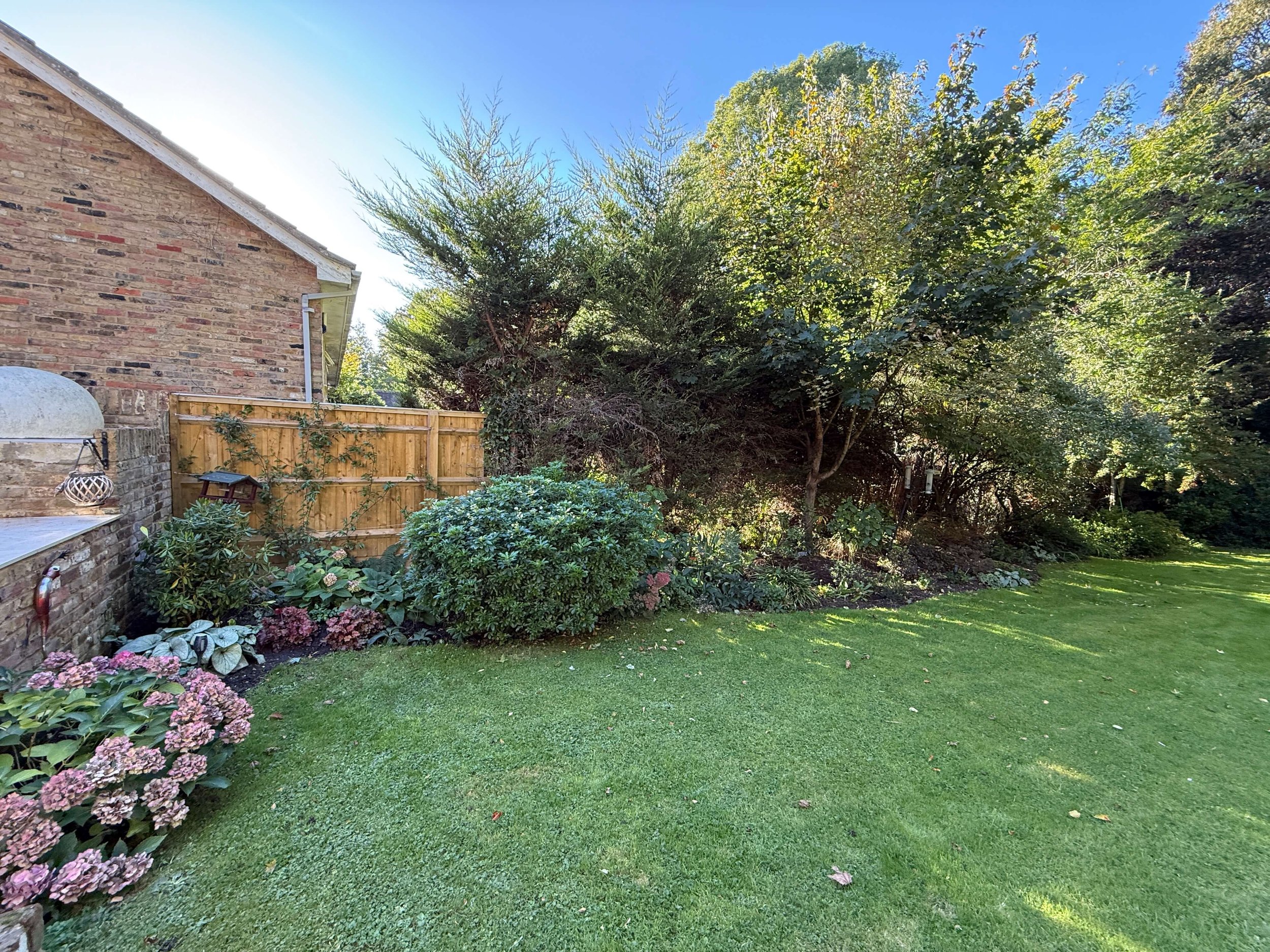 Amerham case study - Vivid Gardens - 2.jpeg