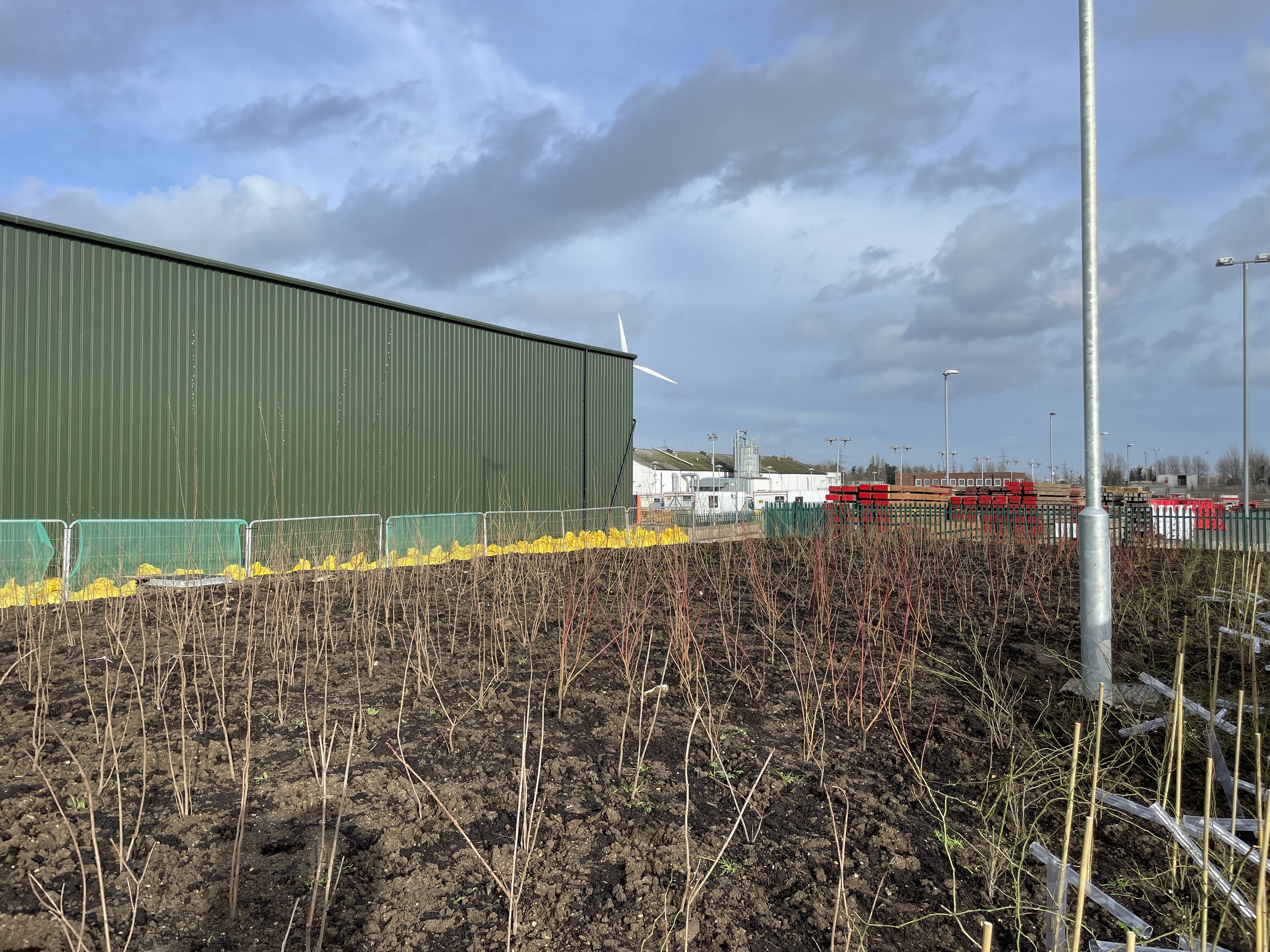 Dagenham warehouse project