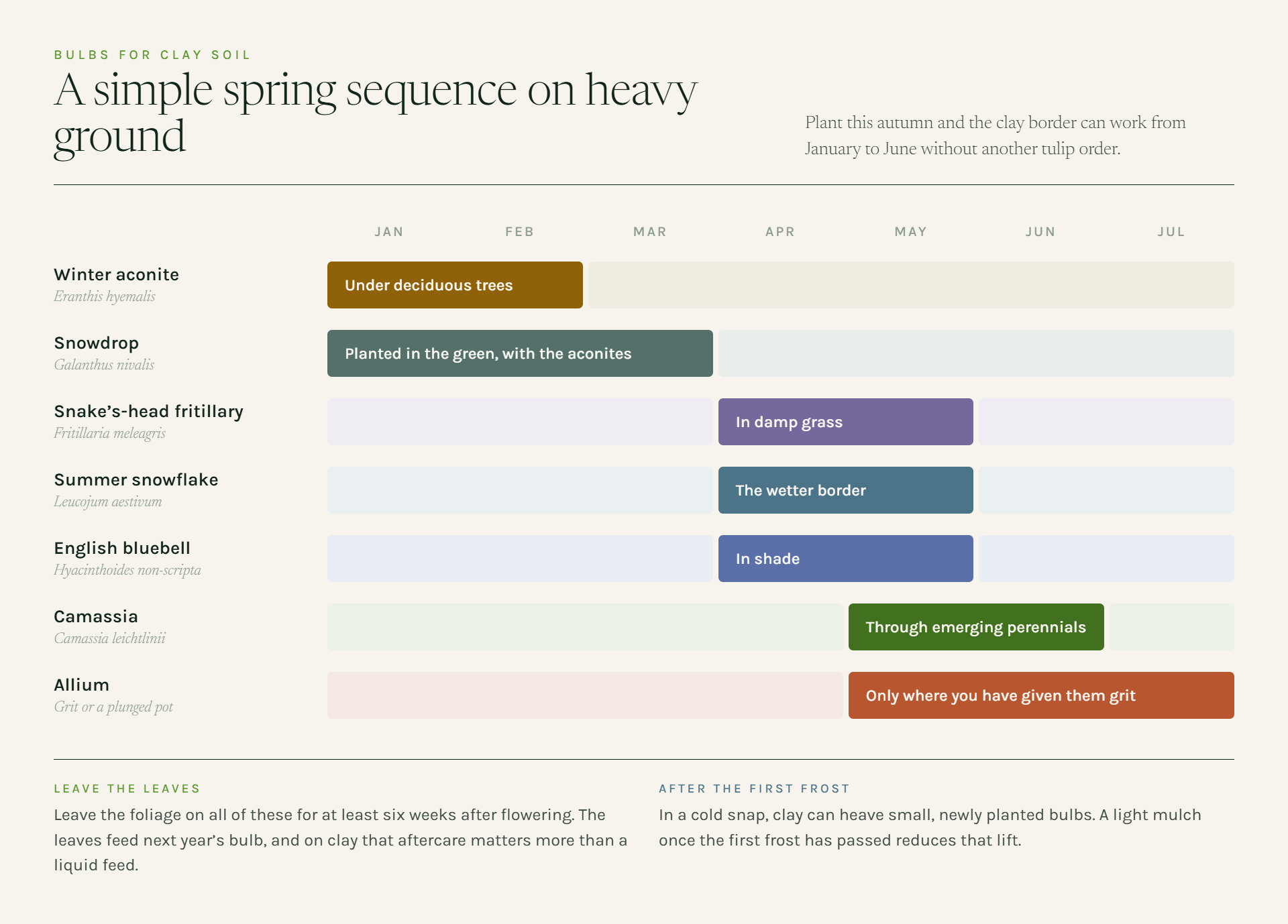 Spring flowering sequence for clay soil, January to July, showing when winter aconite, snowdrop, snake's-head fritillary, summer snowflake, English bluebell, camassia and allium each flower.