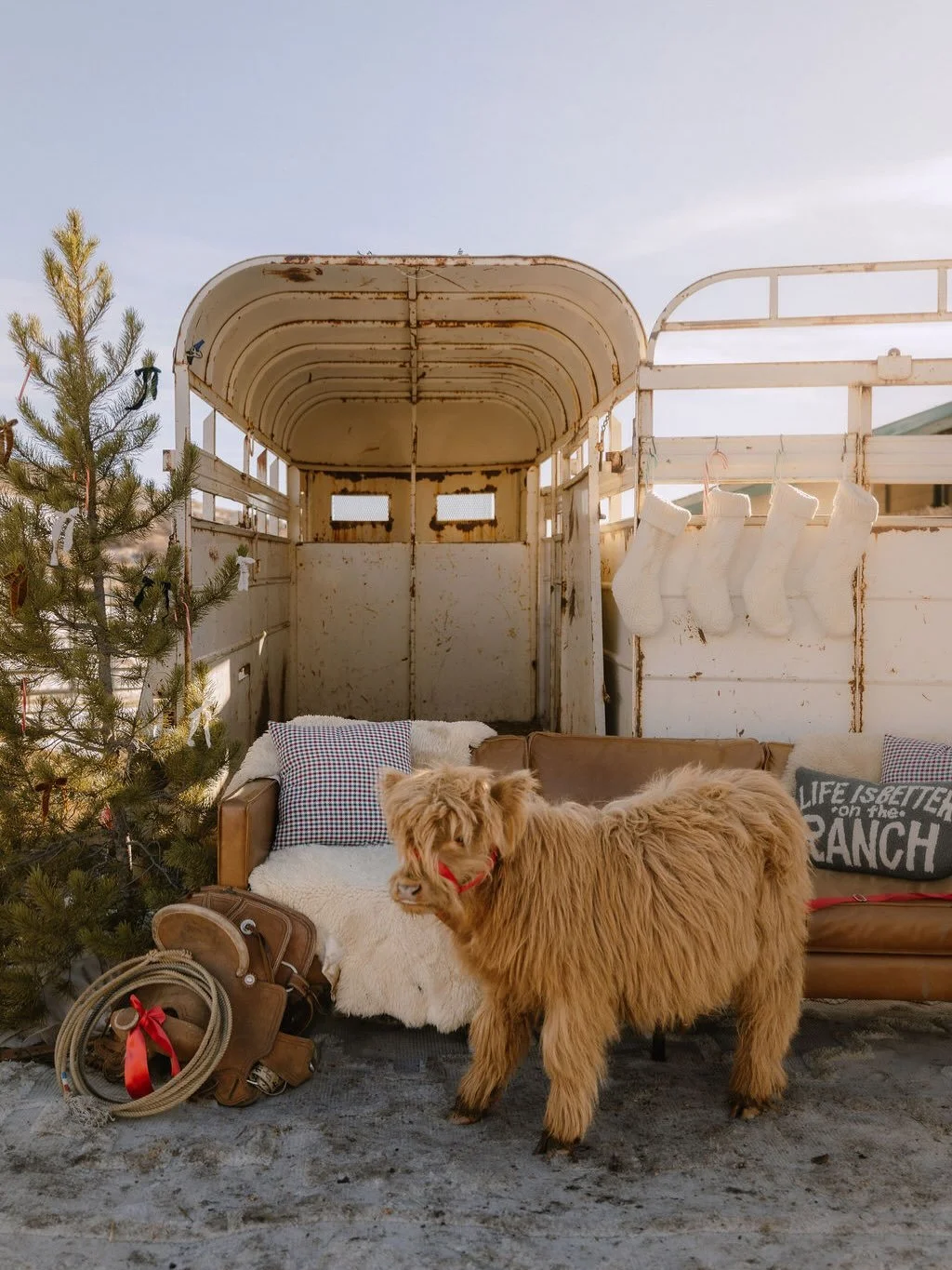 We started a tradition here @randomroadranch and we had the most amazing day! Can&rsquo;t wait for you to see everyone&rsquo;s family photos @hannapaige.photo nailed It !!