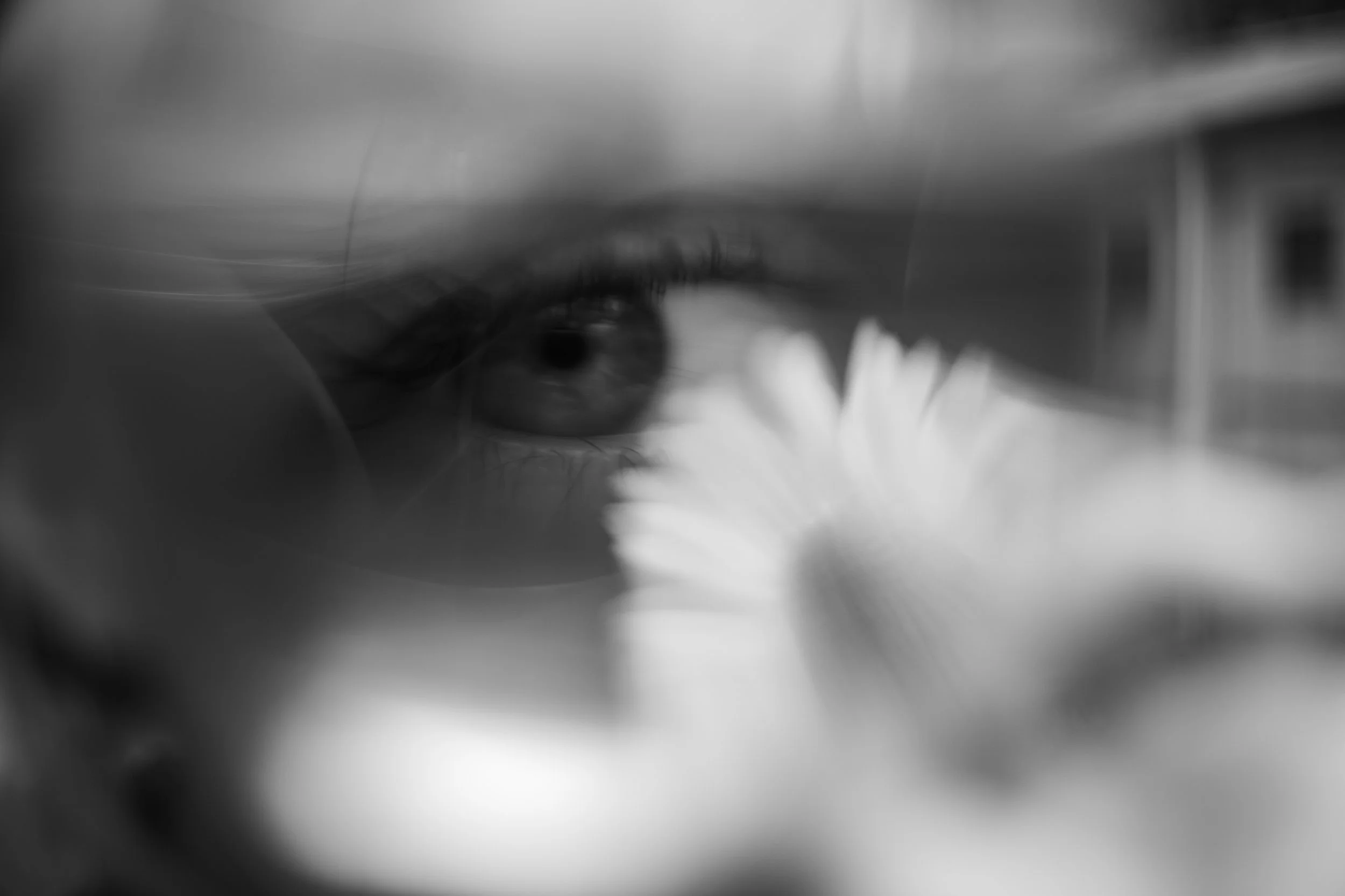 4E4A8619.jpg