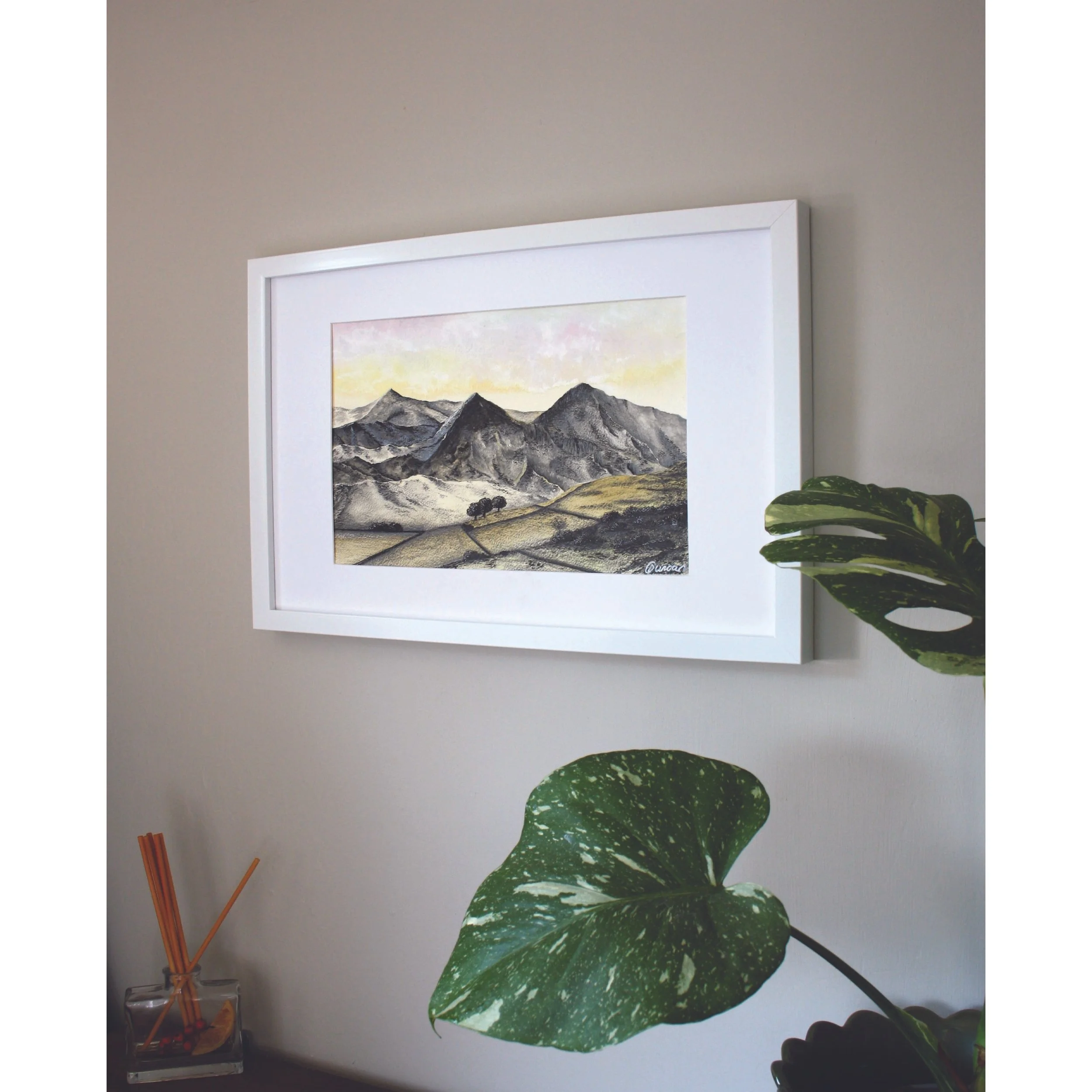 squarespace image 1 (1).jpg