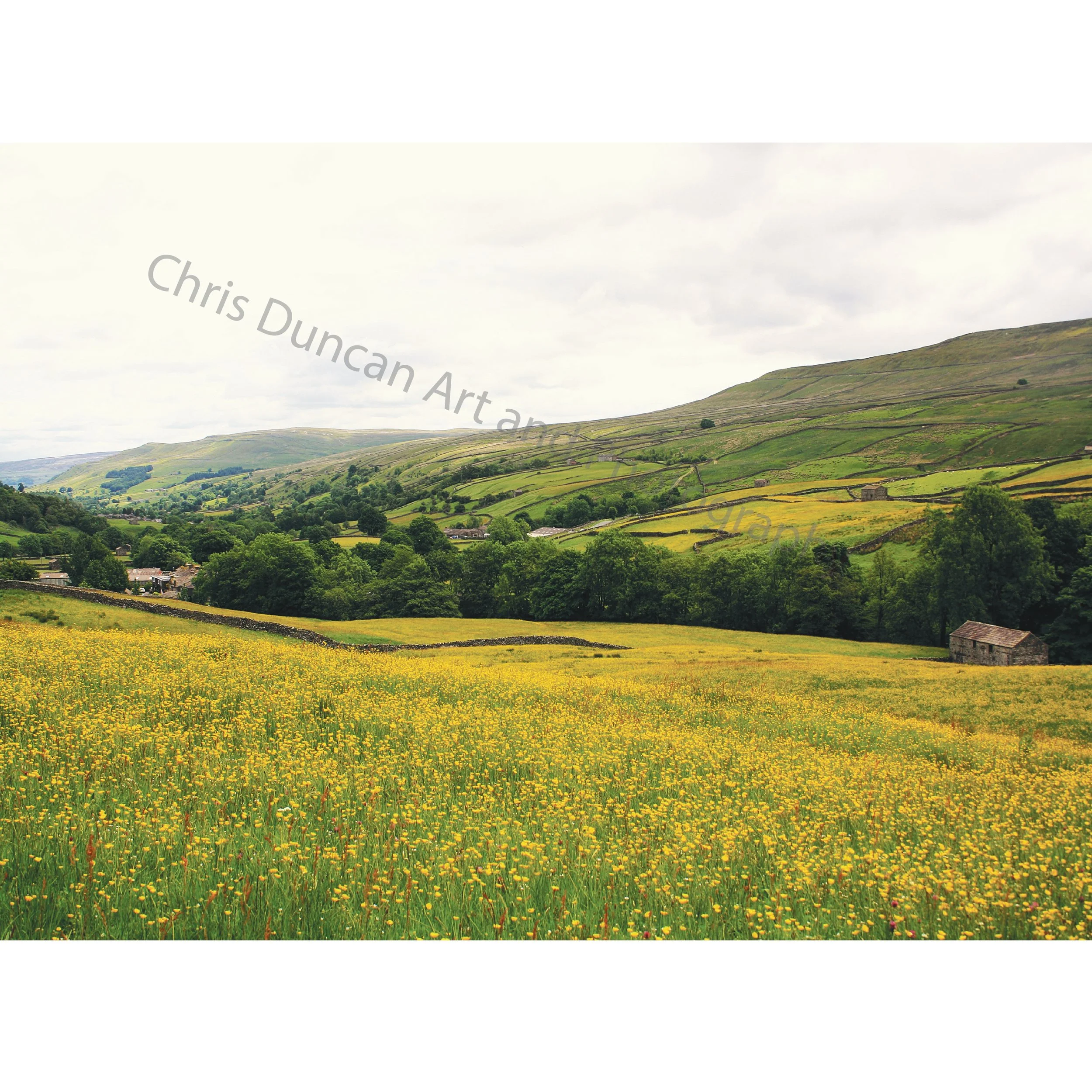 meadow_page-0001 (1).jpg