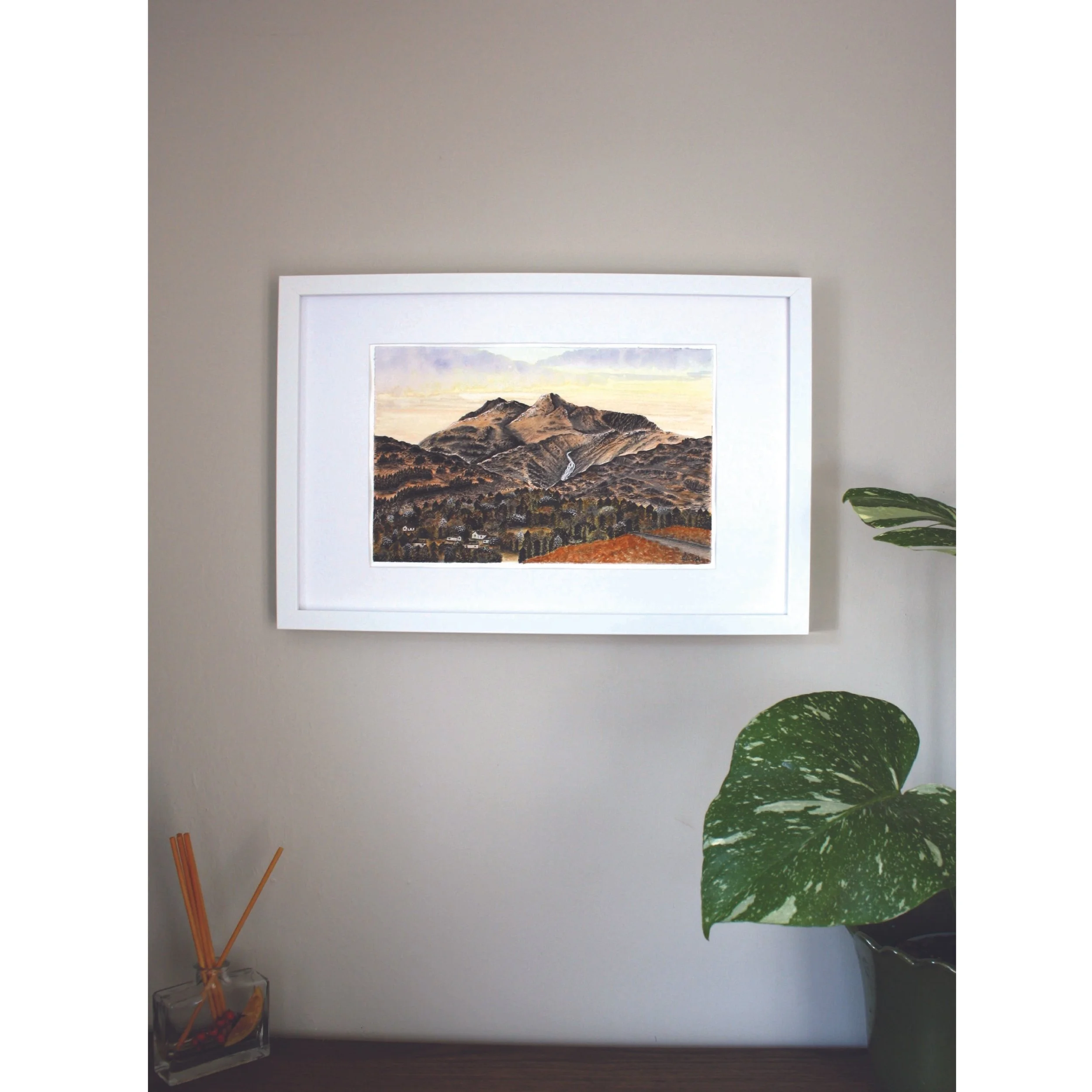 squarespace image 2.jpg