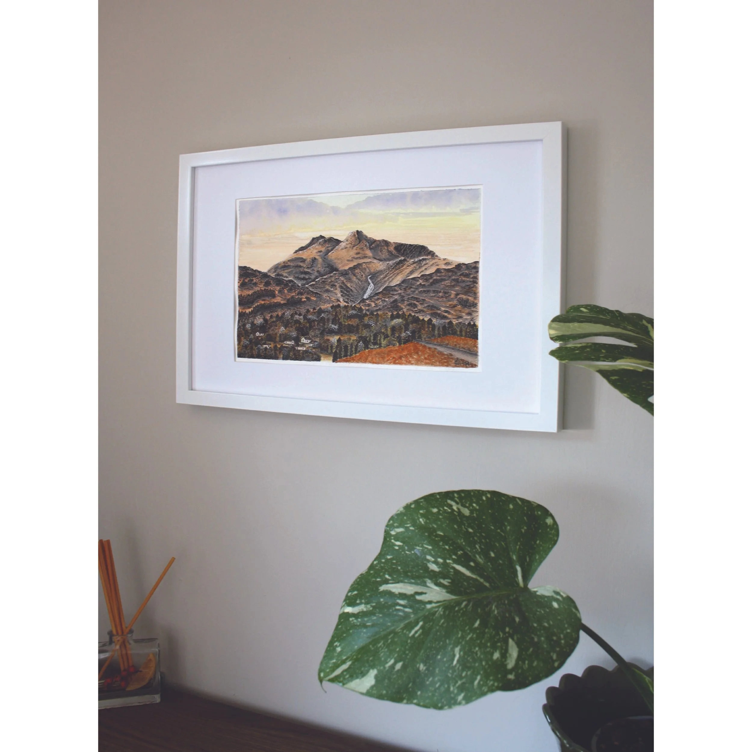 squarespace image 3.jpg