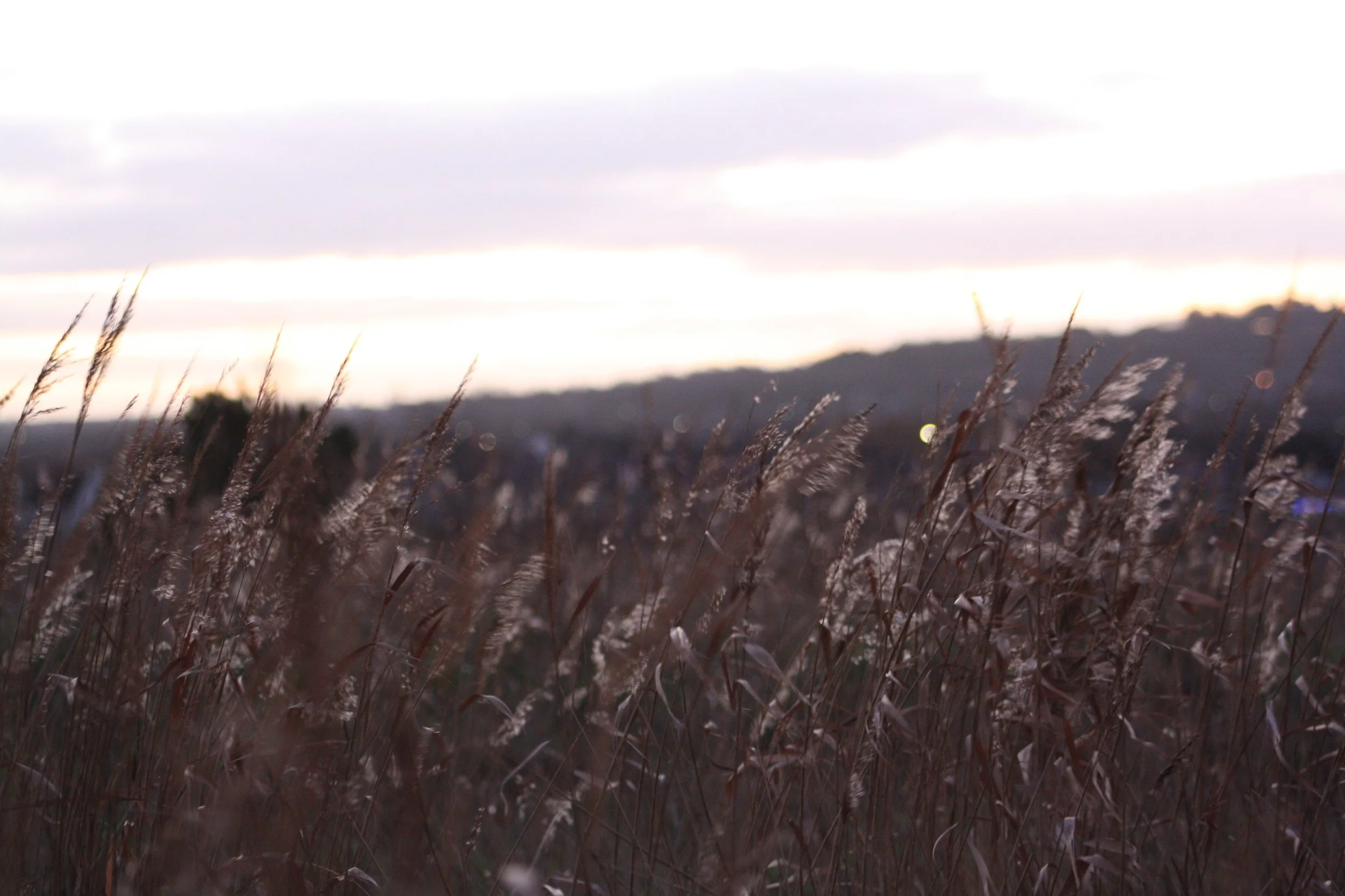 Leasowe Bay Sunrise, Wallasey, Wirral