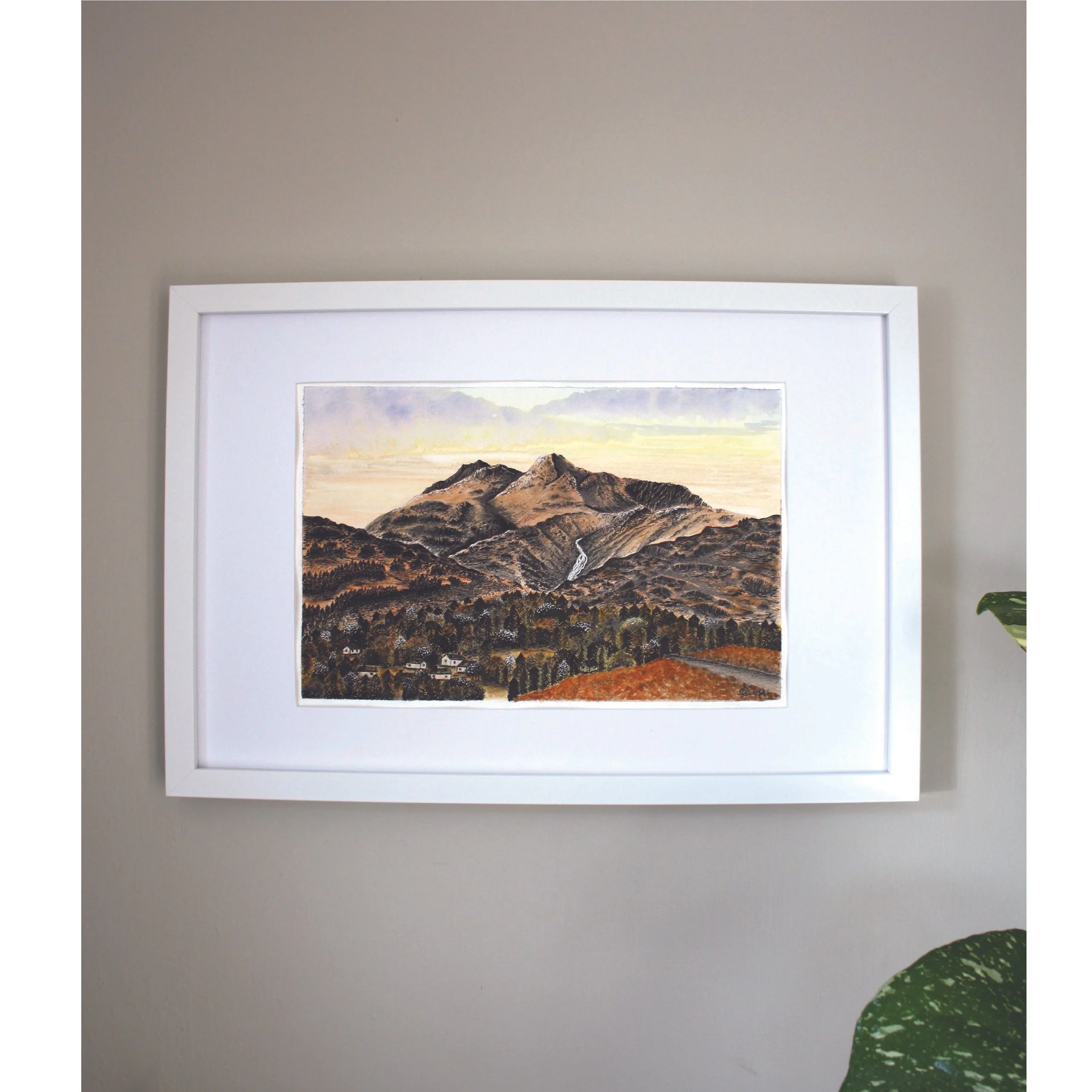 squarespace image 1.jpg