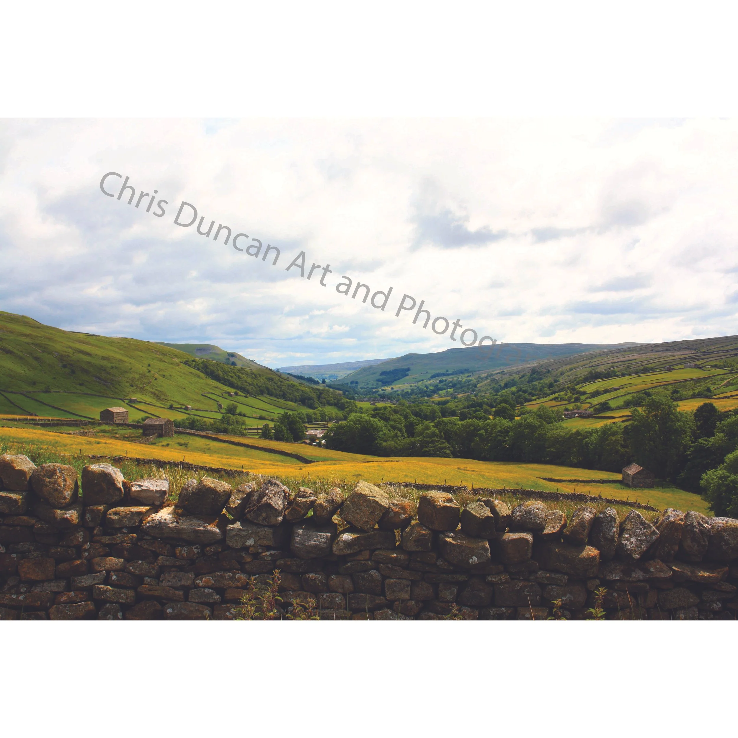 dales wall.jpg