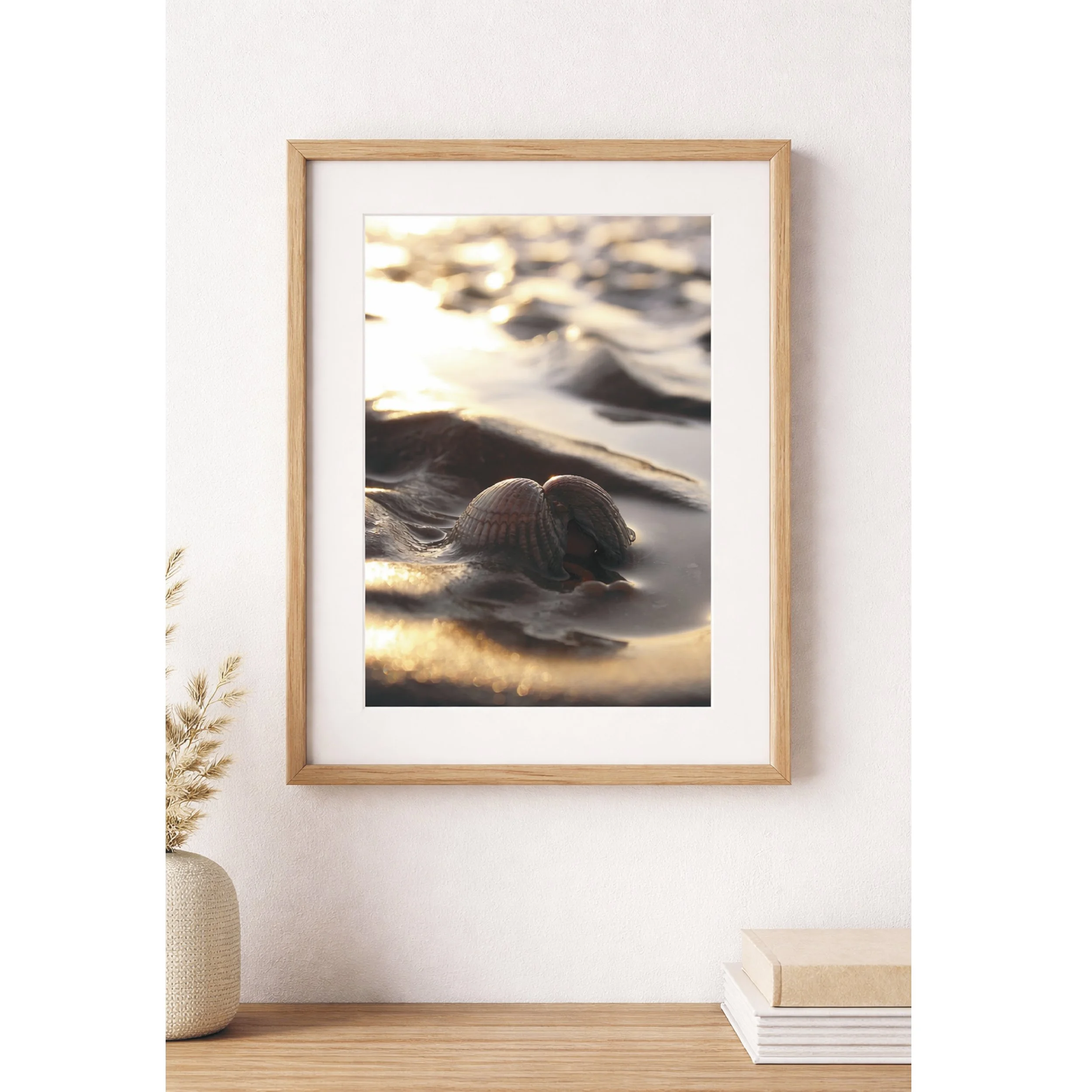 Shells framed_page-0001.jpg