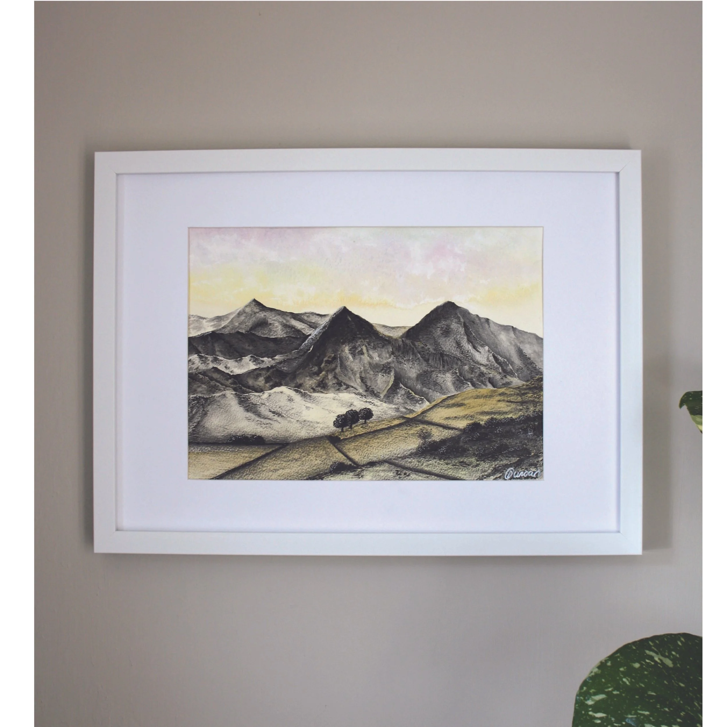 squarespace image 2 (1).jpg