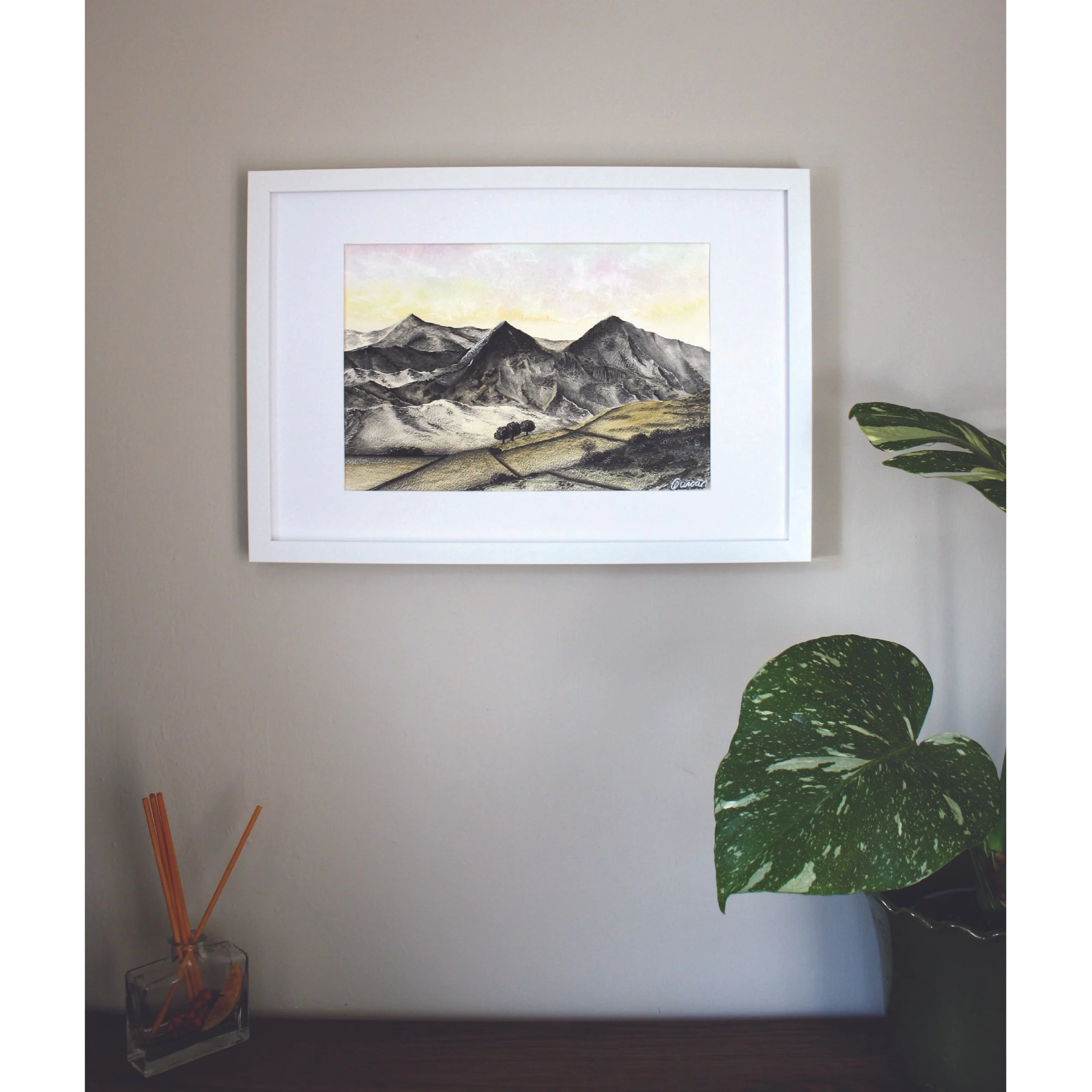 squarespace image 3 (1).jpg