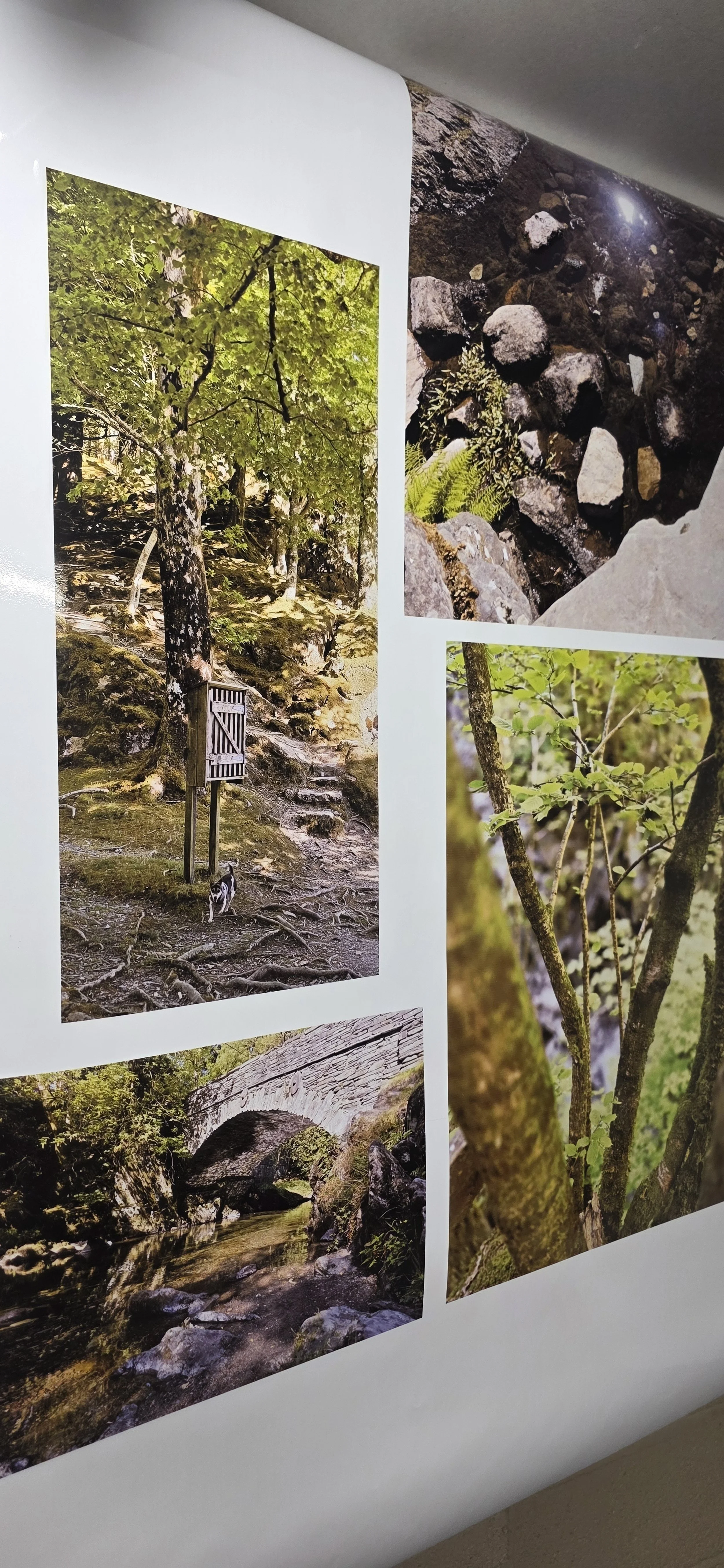 Some fantastic nature images with amazing contrasts, reflections and vibrant colours brought to life on vinyl with our 8 colour solvent ink system