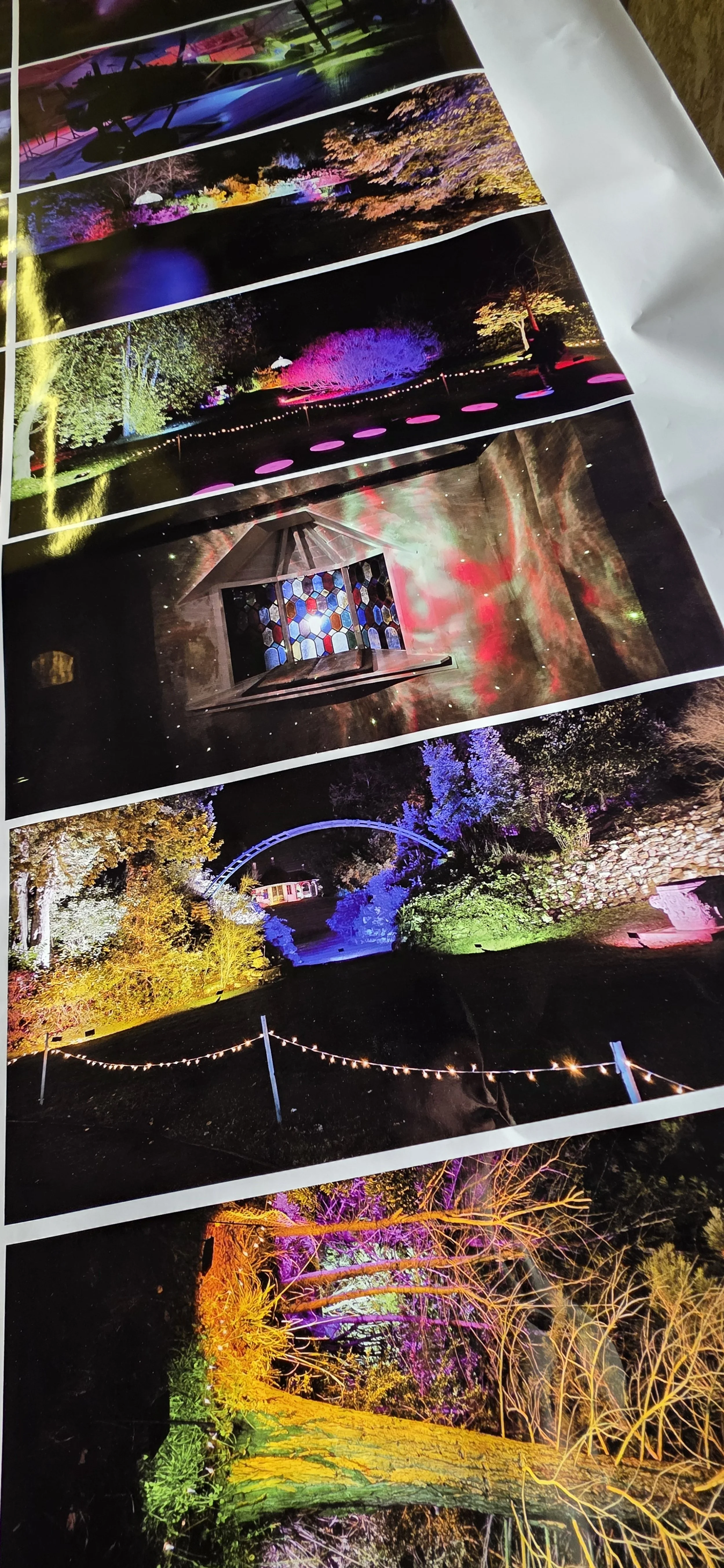 After taking the children Shuttleworth  Christmas Lights in their amazing Swiss Gardens I couldn't help but see how the colours would manifest on print and I was not disappointed