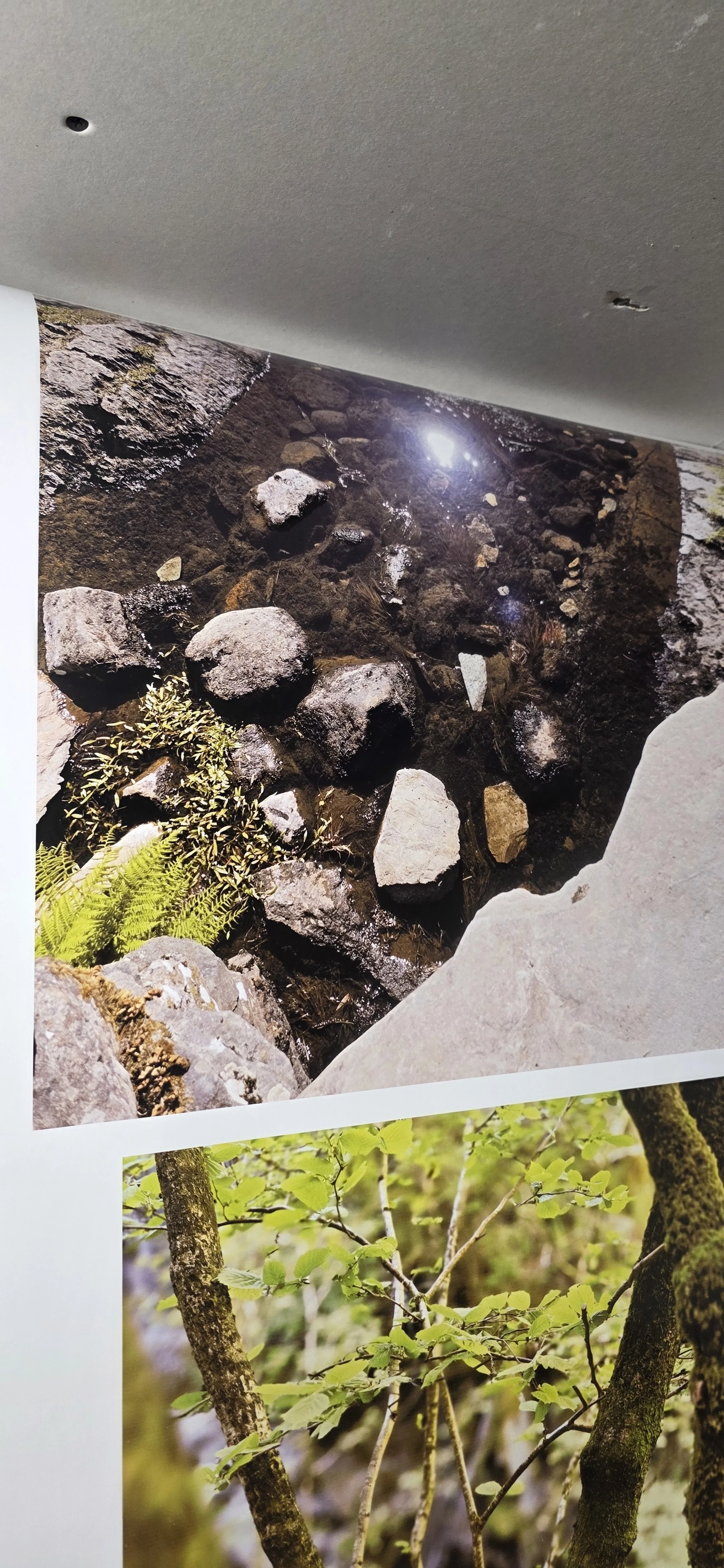 Some fantastic nature images with amazing contrasts, reflections and vibrant colours brought to life on vinyl with our 8 colour solvent ink system