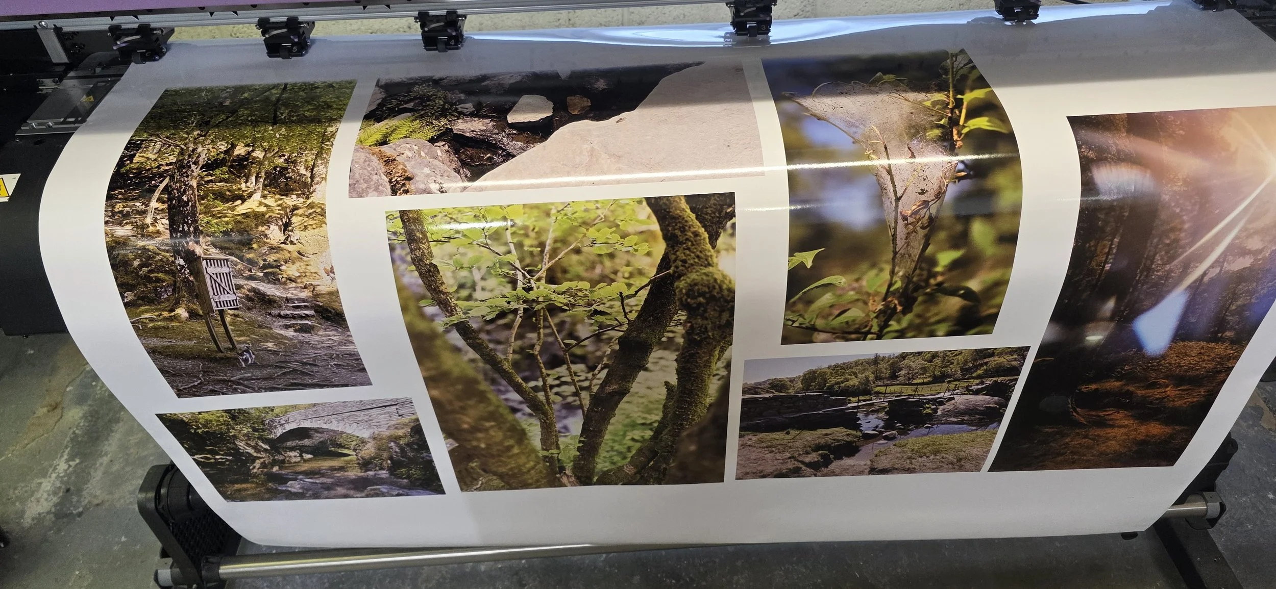 Some fantastic nature images with amazing contrasts, reflections and vibrant colours brought to life on vinyl with our 8 colour solvent ink system