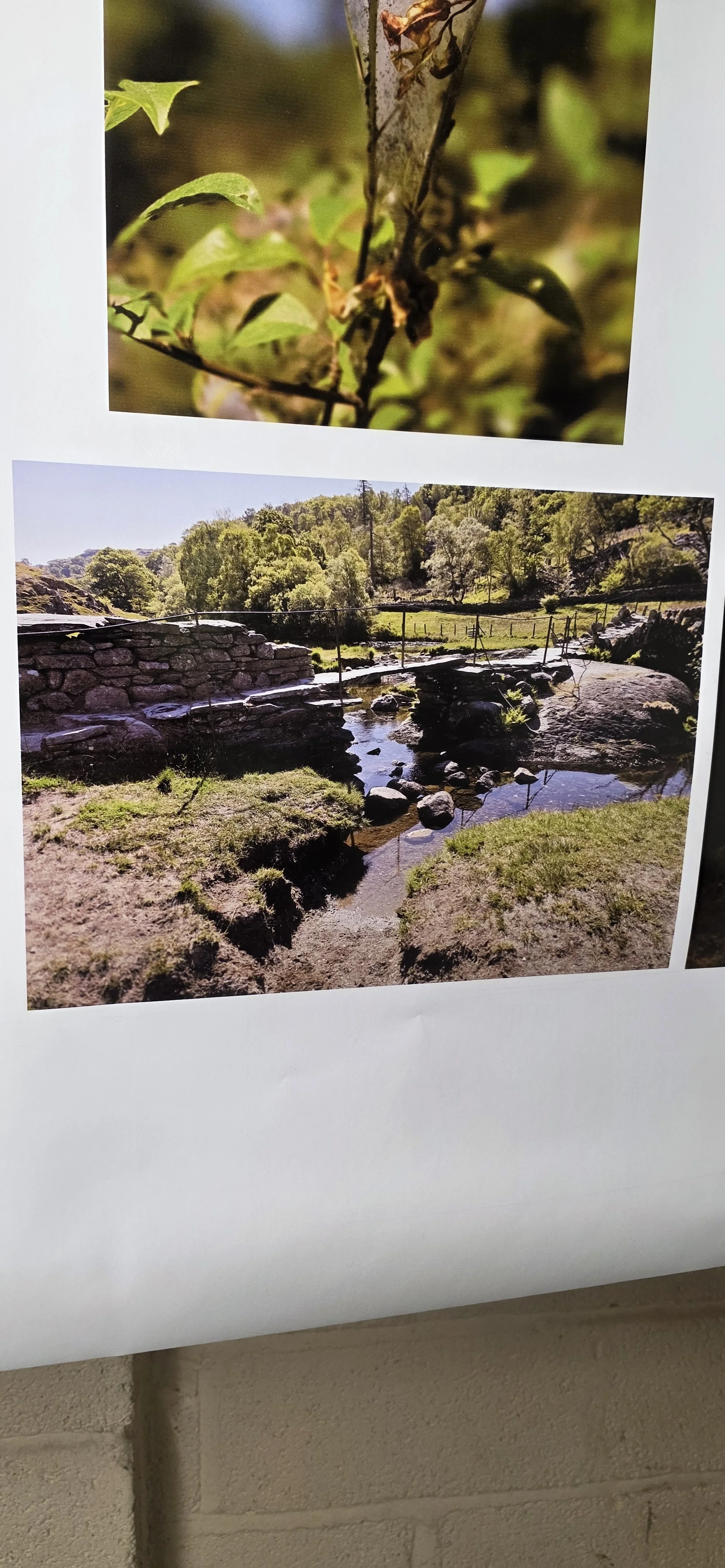 Some fantastic nature images with amazing contrasts, reflections and vibrant colours brought to life on vinyl with our 8 colour solvent ink system