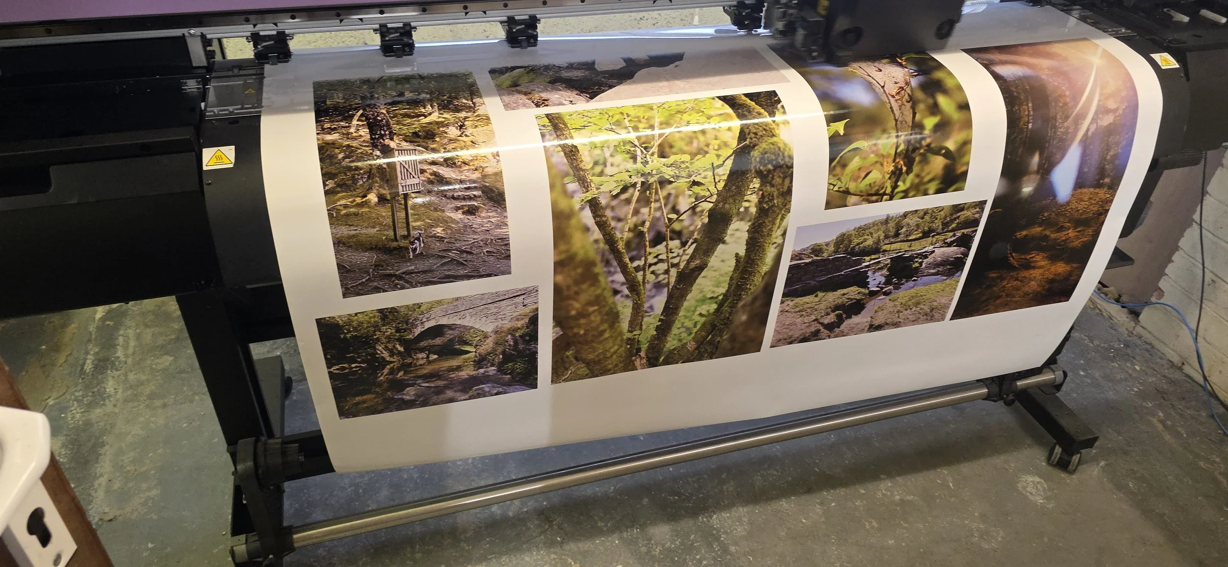 Some fantastic nature images with amazing contrasts, reflections and vibrant colours brought to life on vinyl with our 8 colour solvent ink system 