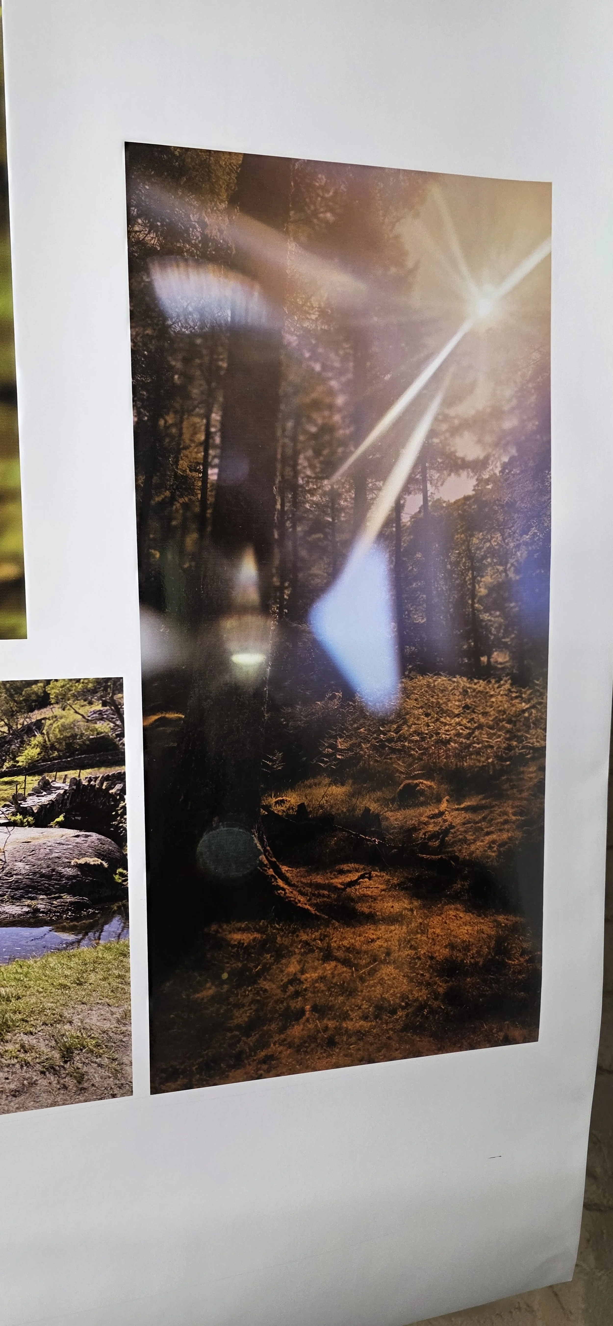 Some fantastic nature images with amazing contrasts, reflections and vibrant colours brought to life on vinyl with our 8 colour solvent ink system