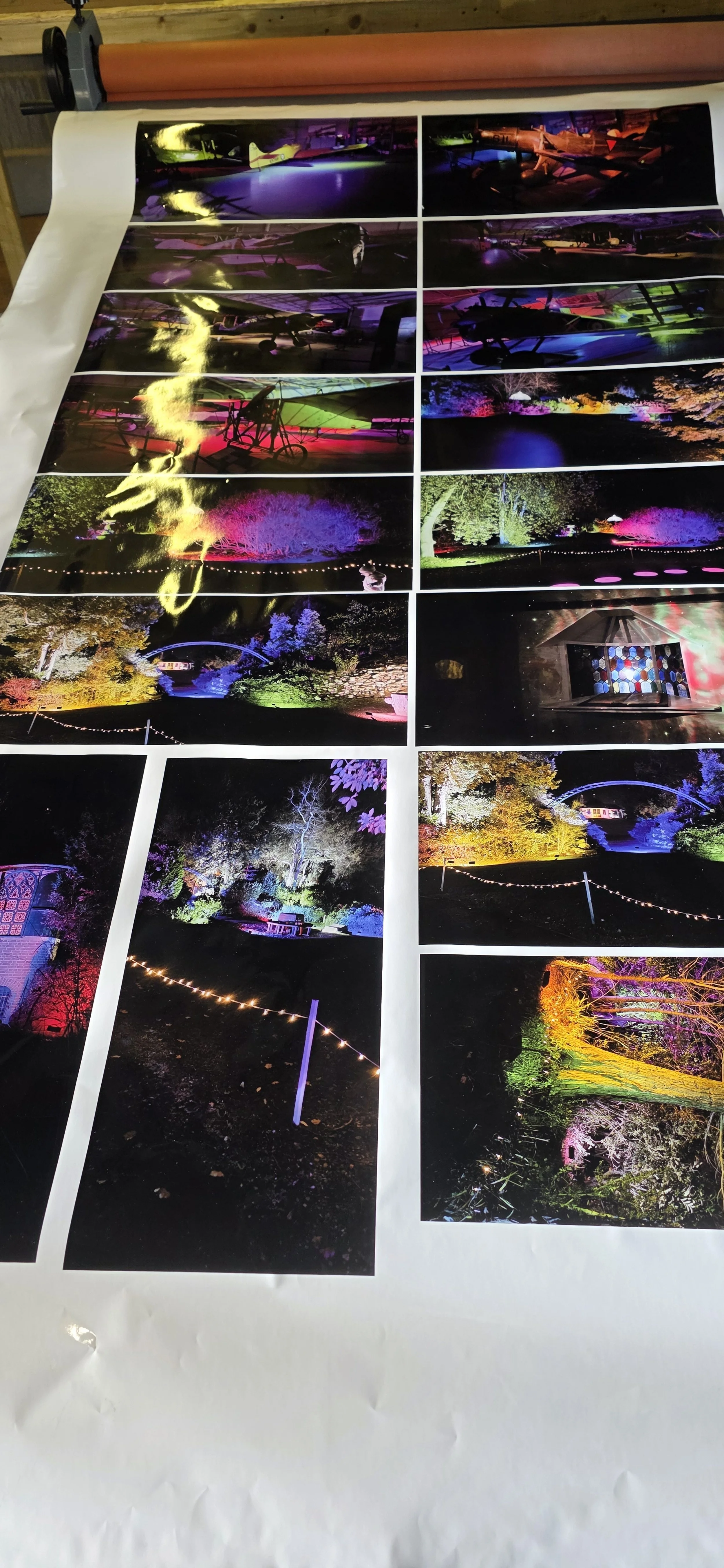 After taking the children Shuttleworth  Christmas Lights in their amazing Swiss Gardens I couldn't help but see how the colours would manifest on print and I was not disappointed