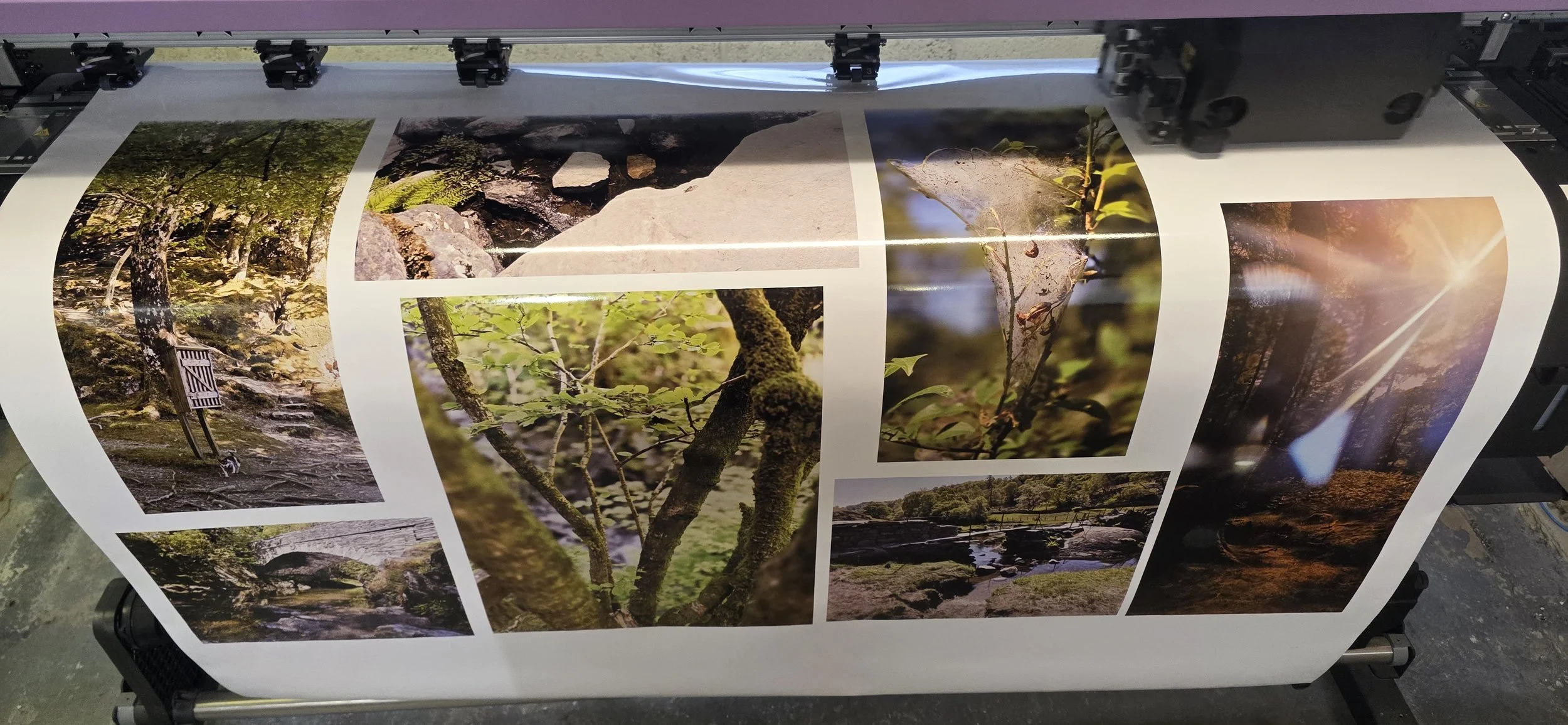 Some fantastic nature images with amazing contrasts, reflections and vibrant colours brought to life on vinyl with our 8 colour solvent ink system
