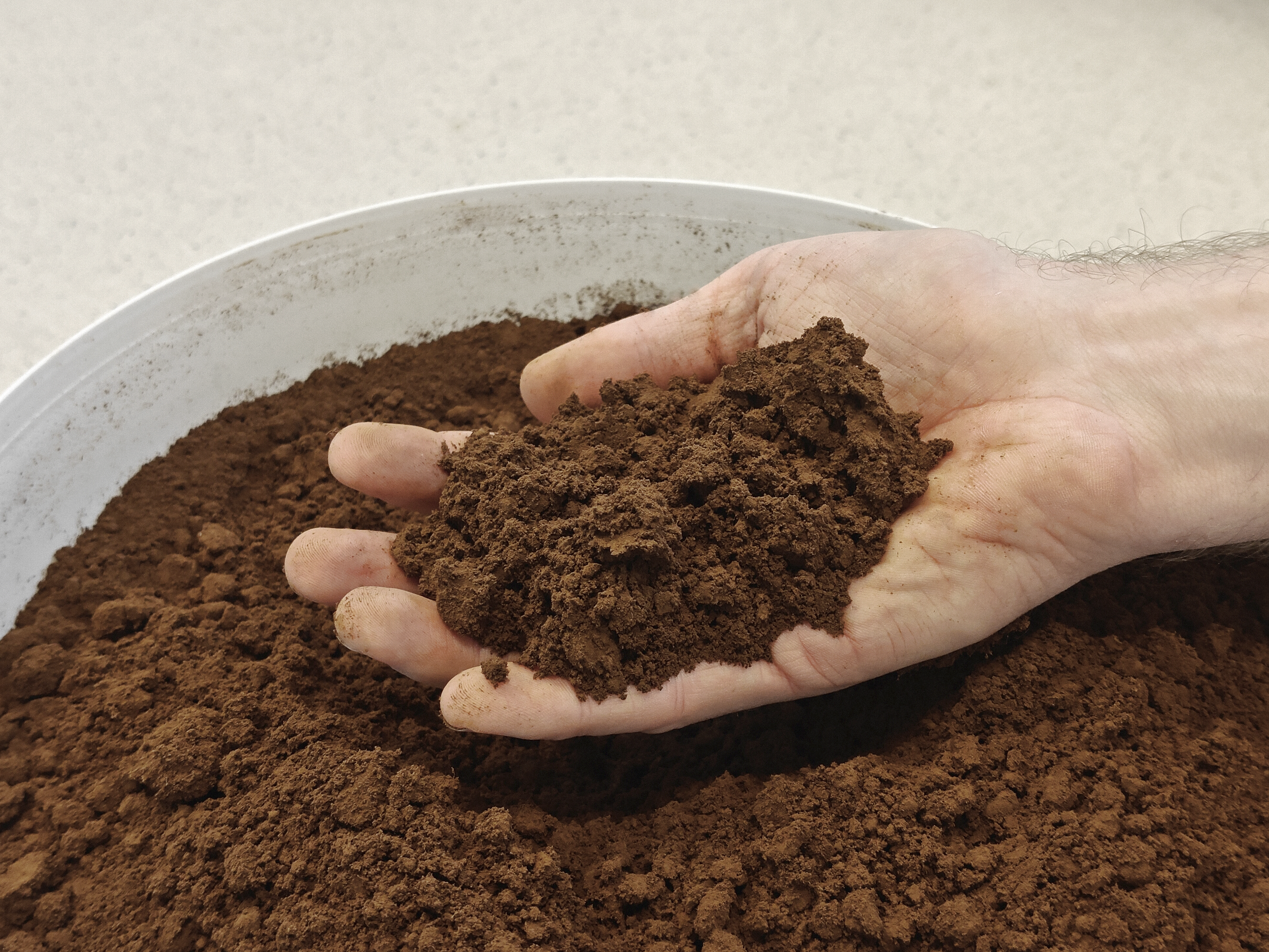 Close-up of a person's hand holding lignin, with more lignin spread over a surface in the background.