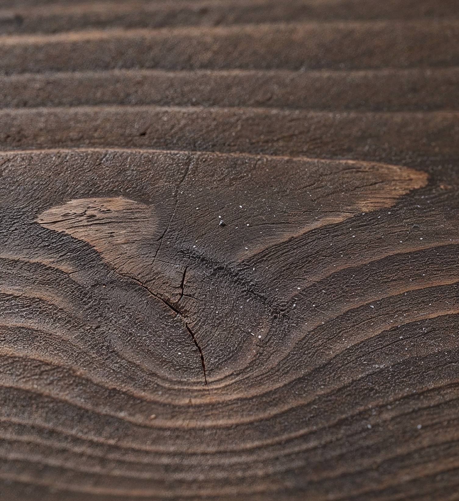Close-up of a Lignowood surface with visible grain patterns