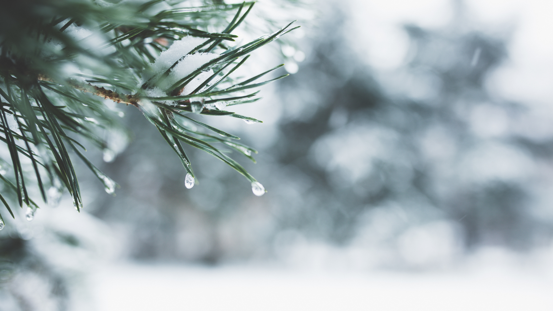 Market View: Week of Dec. 19, 2025