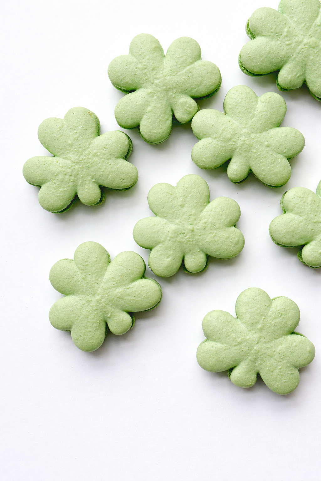 ChatGPT Image Feb 21, 2026, 04_56_55 PM.png