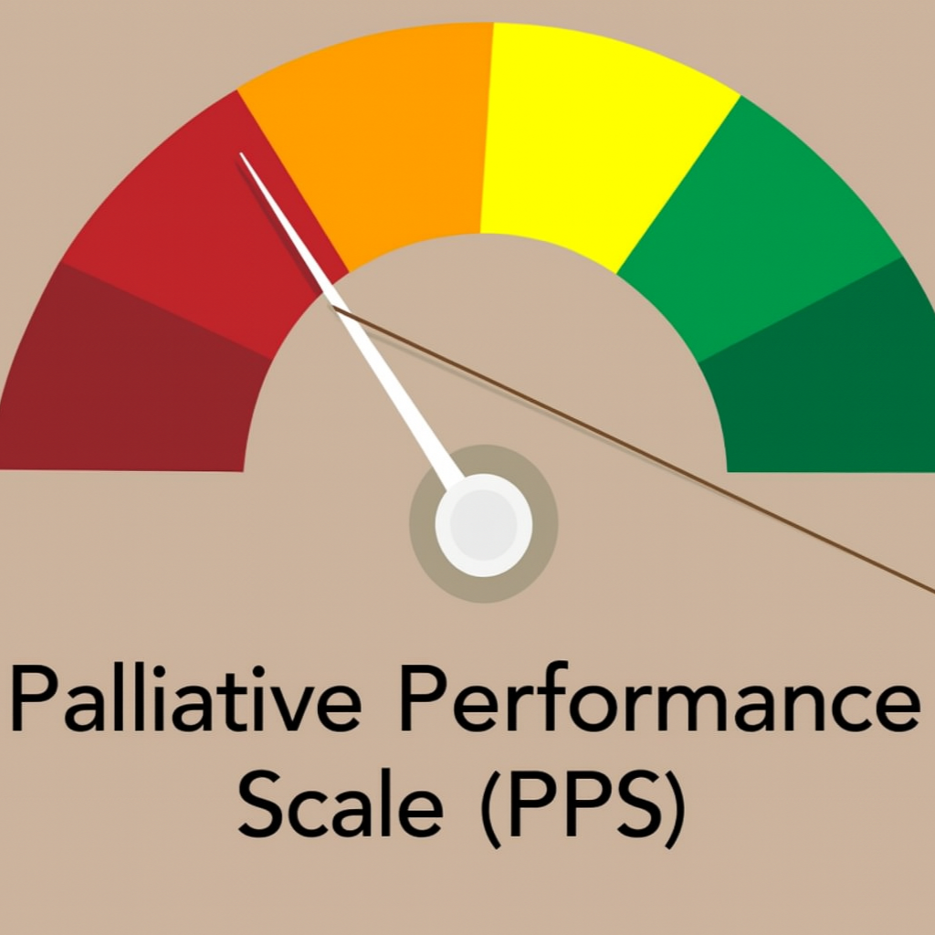 Palliative Performance Scale (PPS)