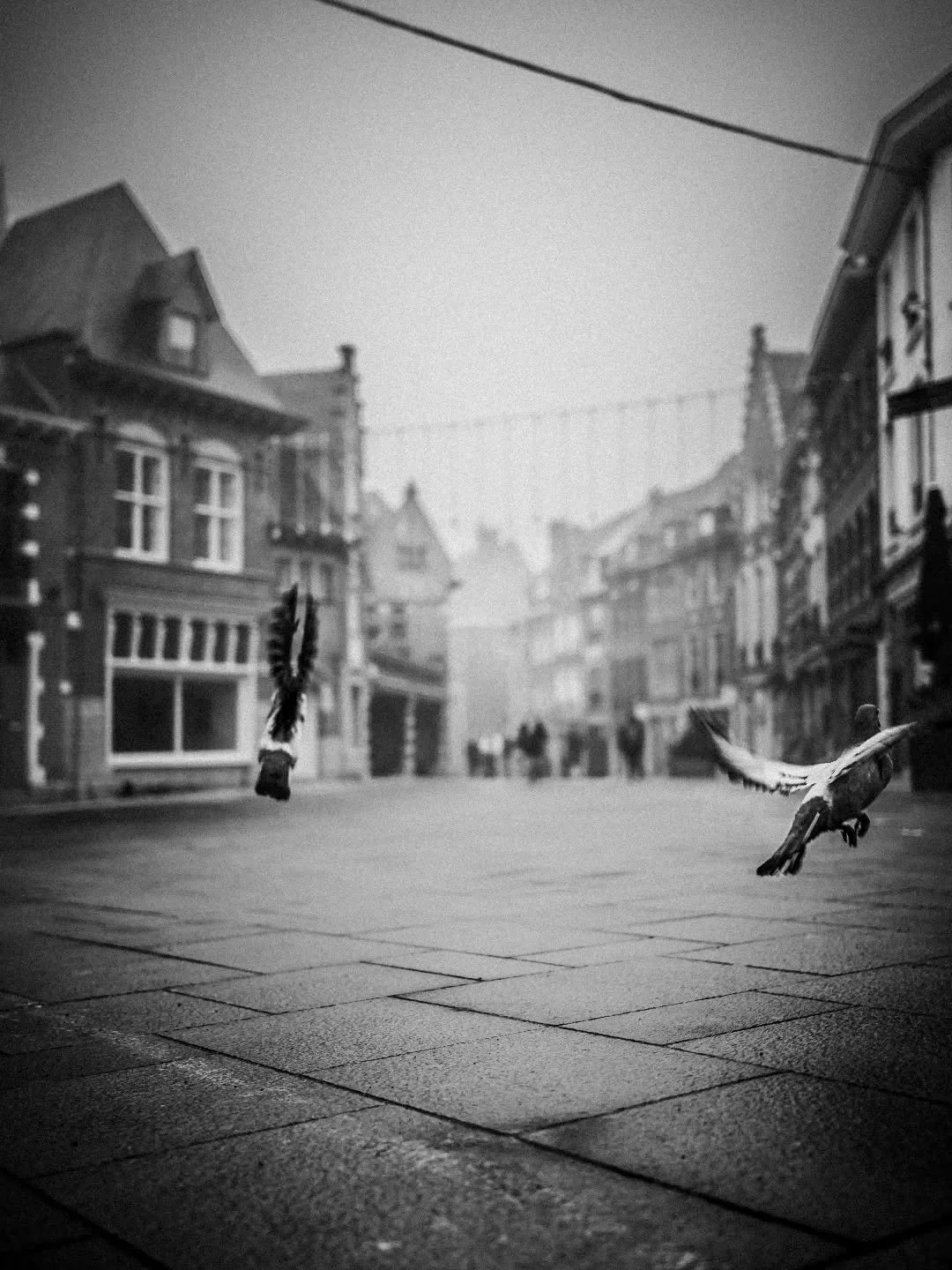 𝙵𝚕𝚒𝚐𝚑𝚝 𝚒𝚗 𝚝𝚑𝚎 𝚖𝚒𝚜𝚝

&Agrave; Tournai, matin suspendu dans la brume ...Une ambiance de No&euml;l flotte dans des rues calmes, quelques passants et des pigeons...le temps d'une petite session de street photography

#spfyourshot #upttpu20