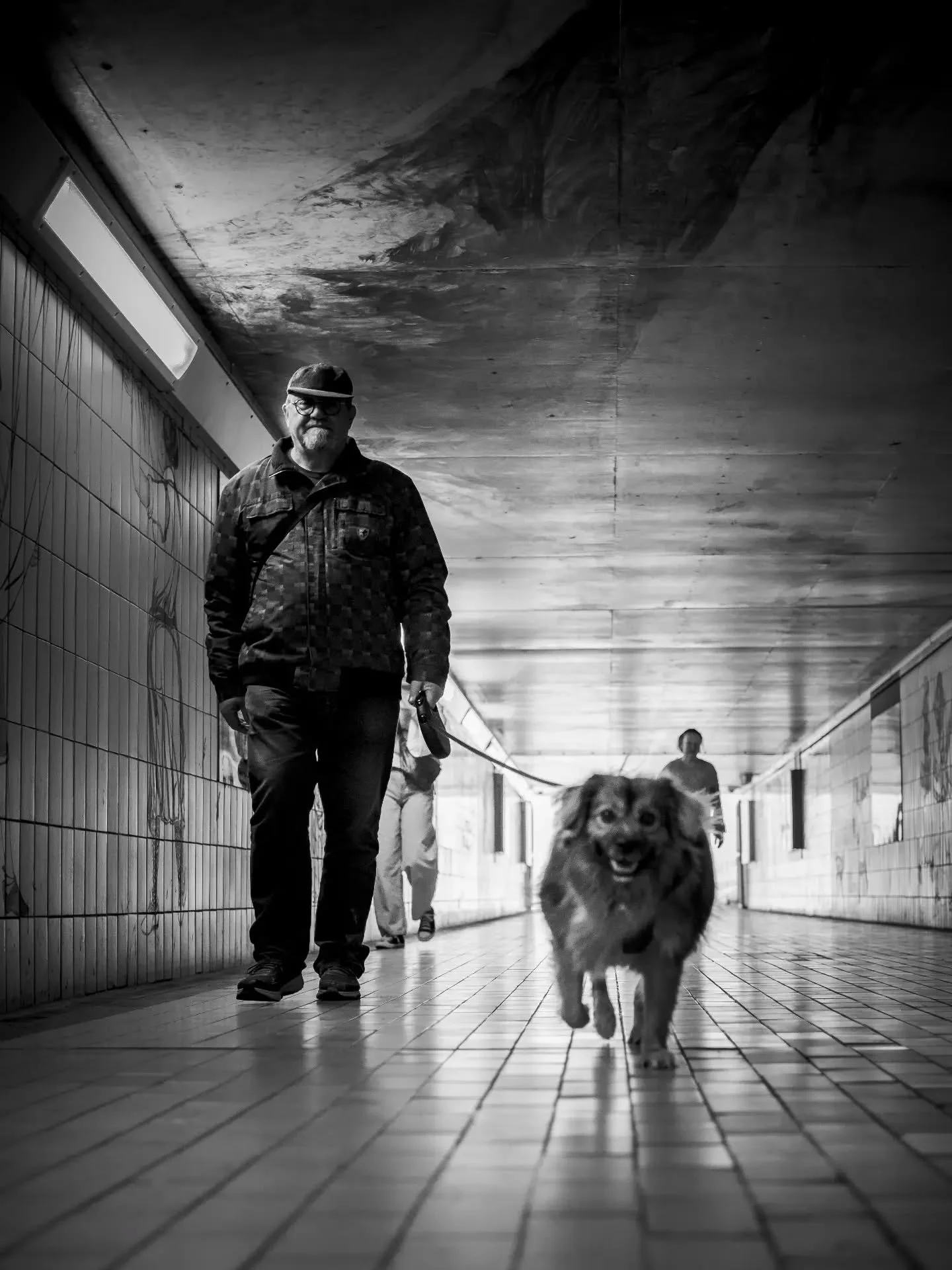 𝙲𝚘𝚖𝚙𝚊𝚐𝚗𝚘𝚗𝚜

#streetphotography #streetportrait #blackandwhitestreet #upttpu2025 #photoderue