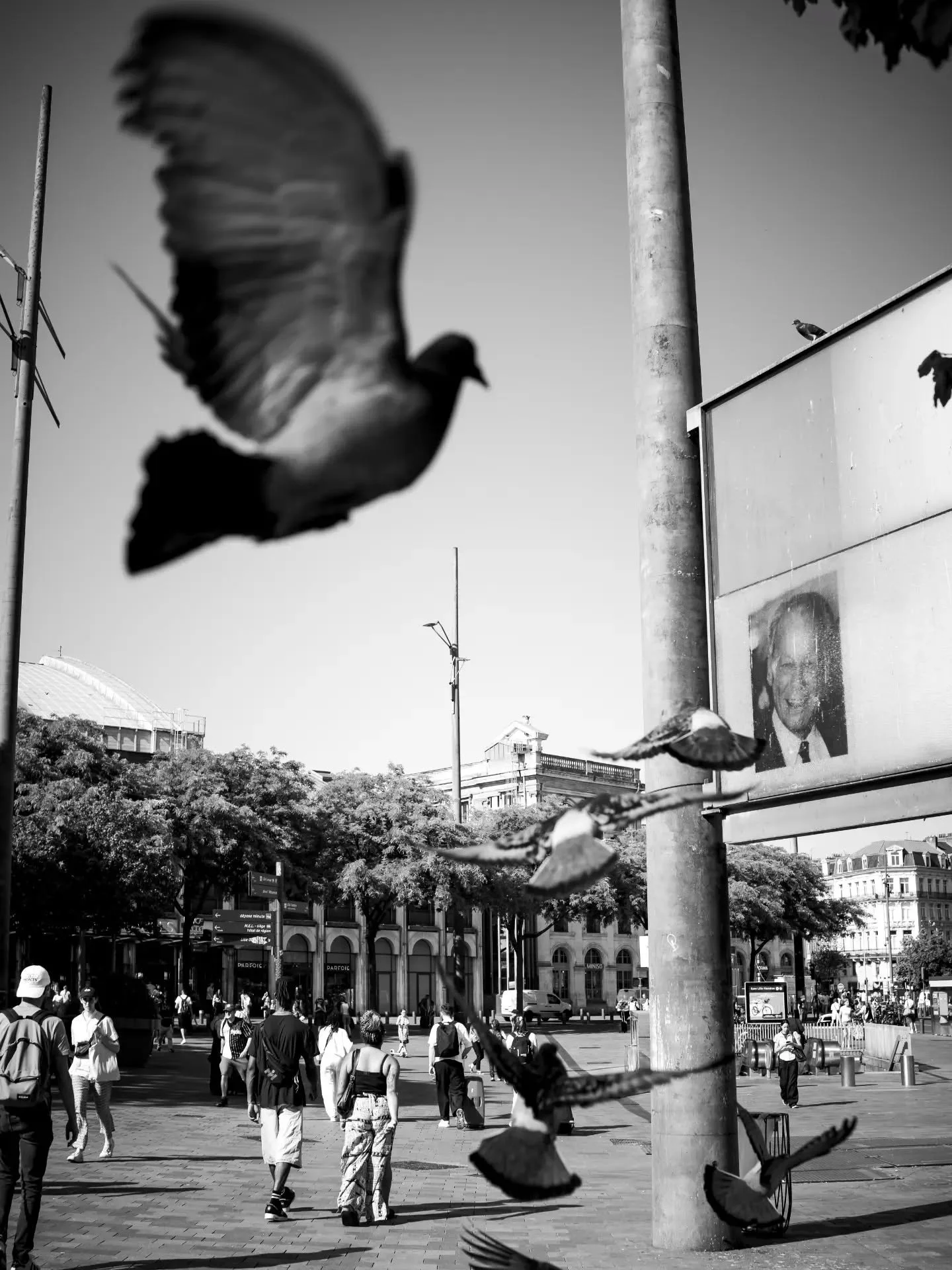 𝚃𝚑𝚎 𝙻𝚘𝚌𝚊𝚕𝚜

📍Lille

#streetphotography #streetphotographyfrance
#upttpu2025
#streetblackandwhite
#photoderuelille