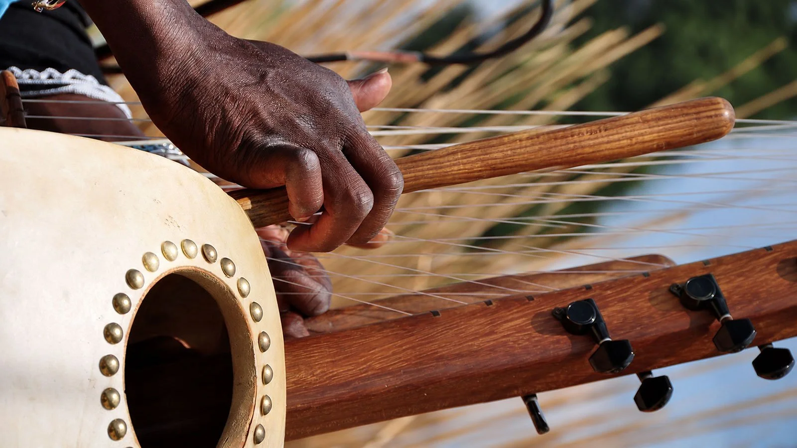Close-up of a person’s hand playing a traditional stringed instrument outdoors, focusing on the instrument’s body, tuning pegs, and strings.