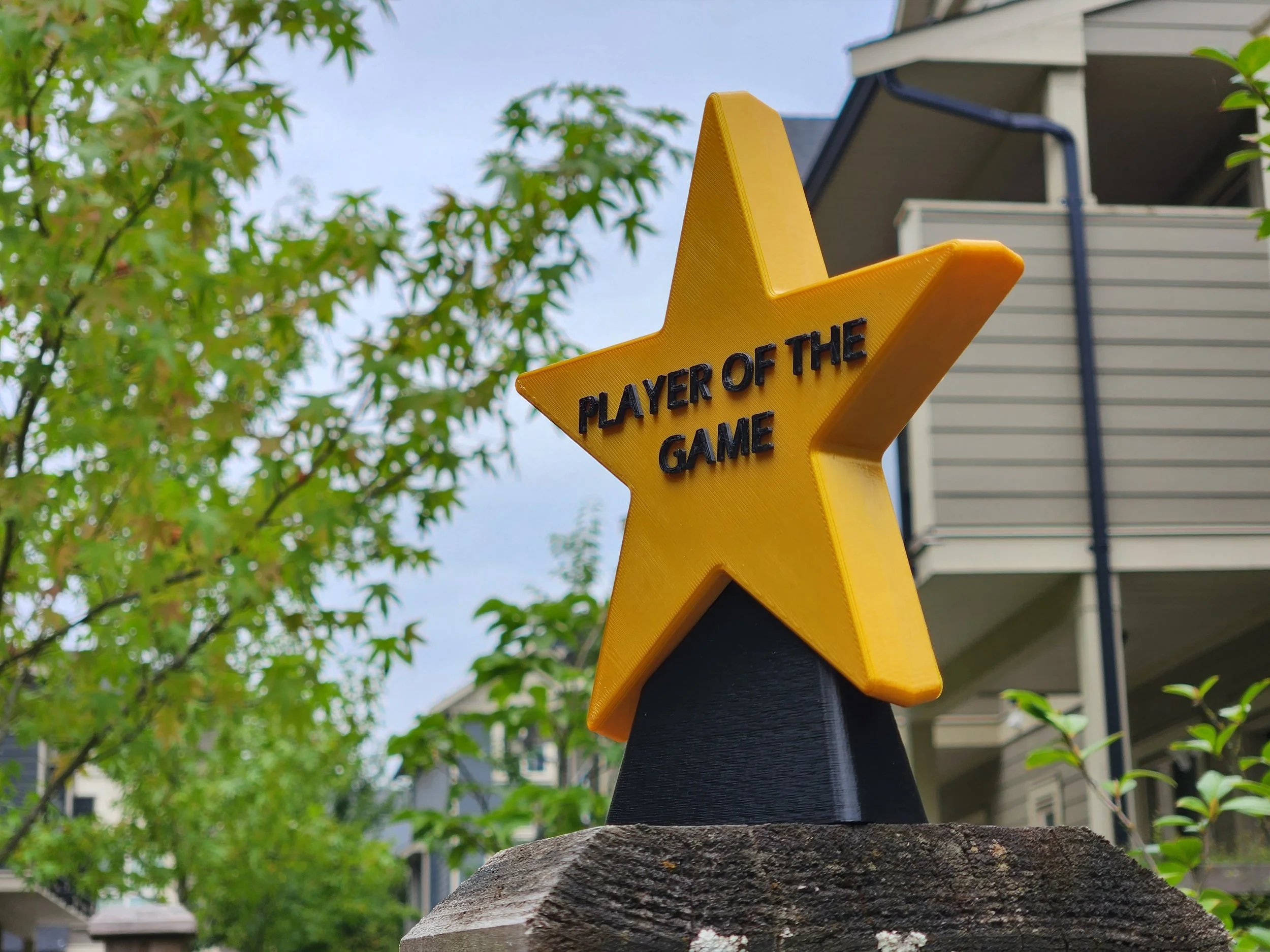 POTG Trophy - designed and printed