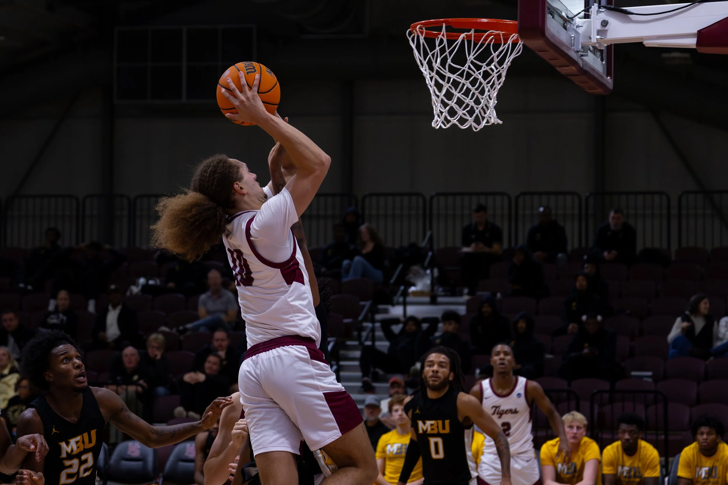 Copy of 130A8980.jpg