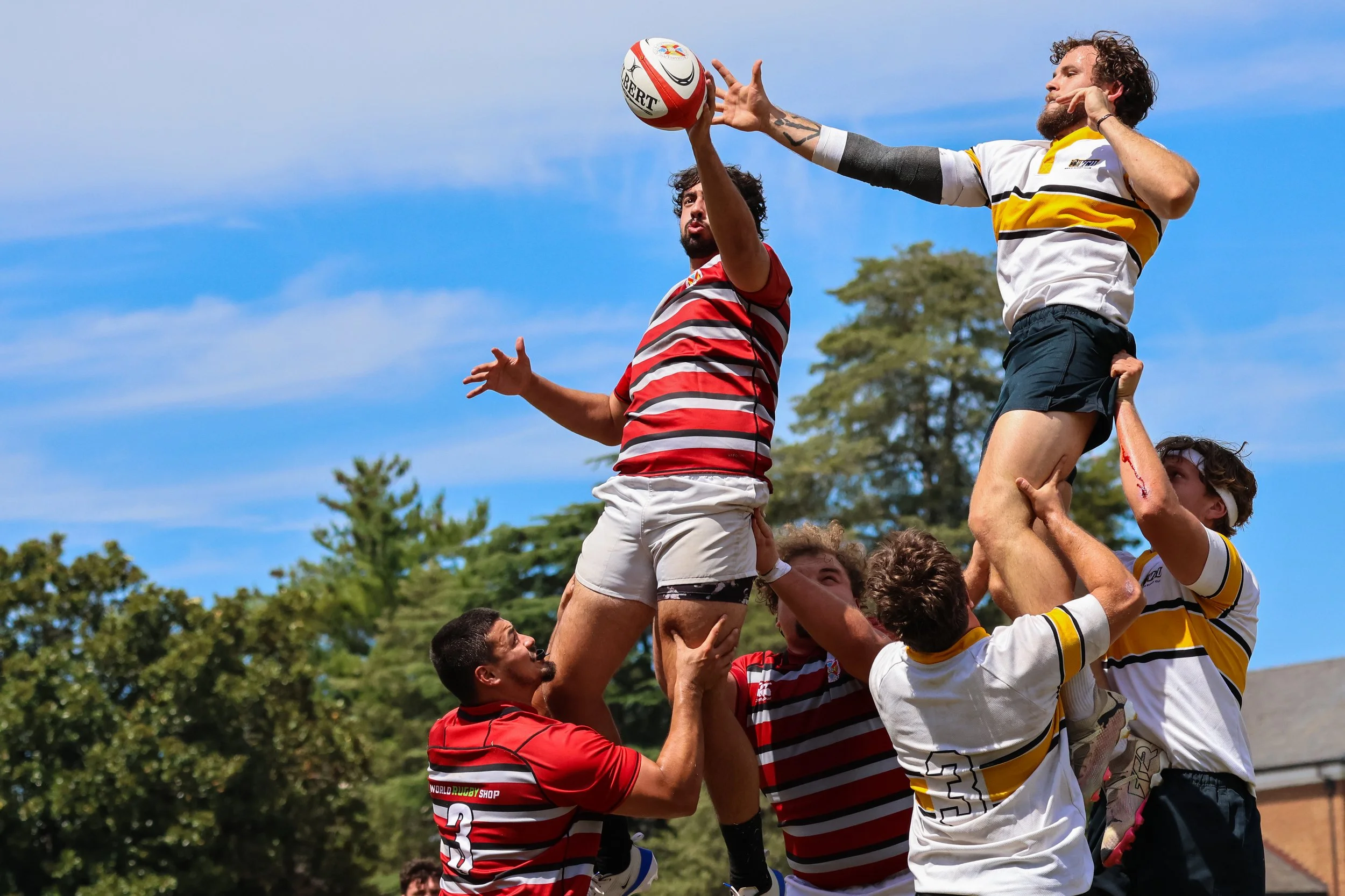 Rugby