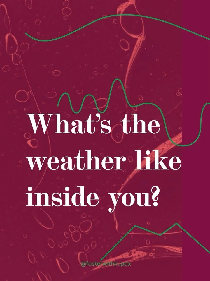 Ayurveda teaches us that we all have an internal weather&mdash;our elemental constitution.

Doshas aren&rsquo;t a label or a box; they&rsquo;re a blueprint. Your Dosha is the unique way the elements of Space, Air, Fire, Water, and Earth flow within y