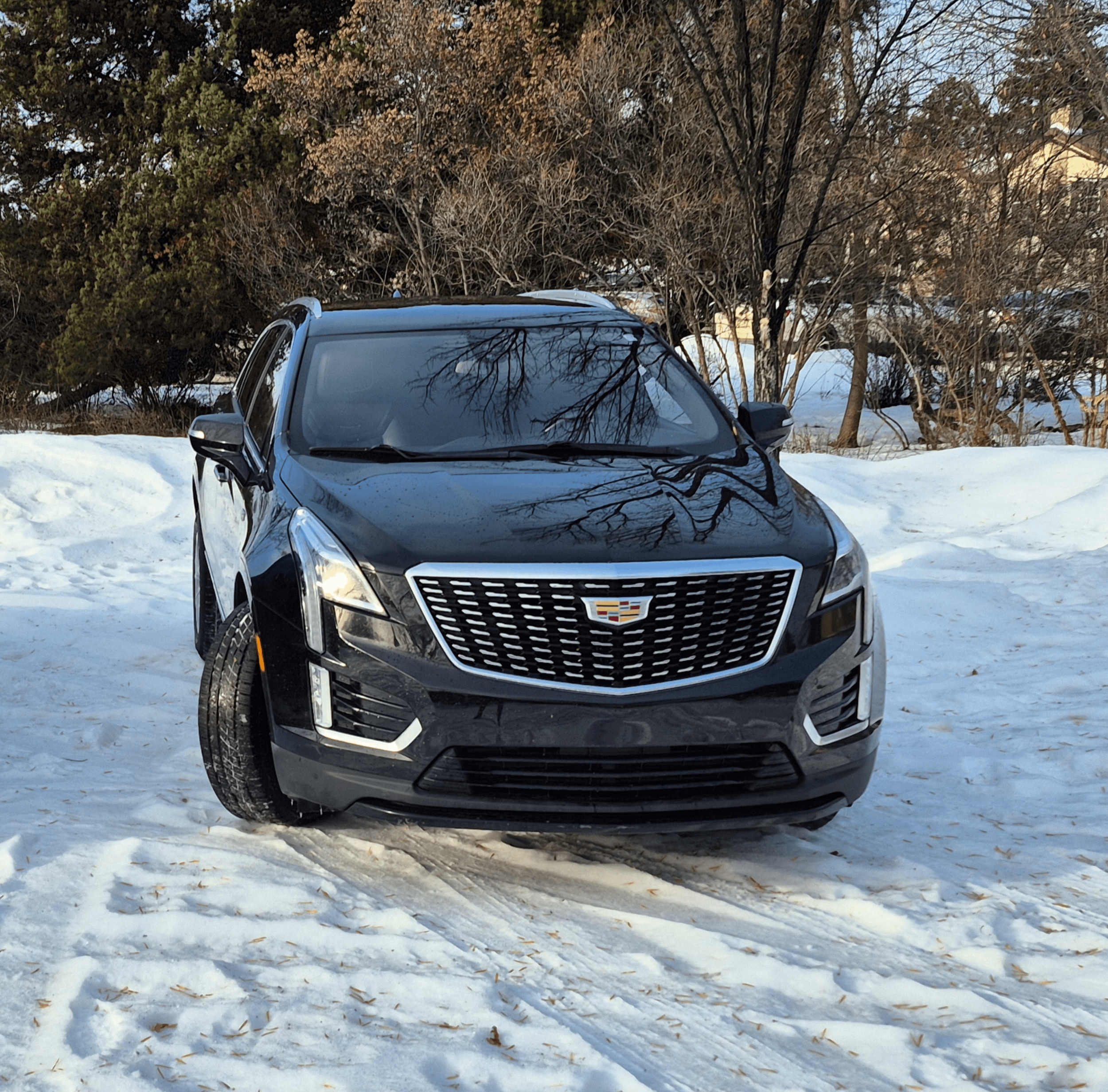 Black Cadillac SUV parked on snowy ground with trees in the background.