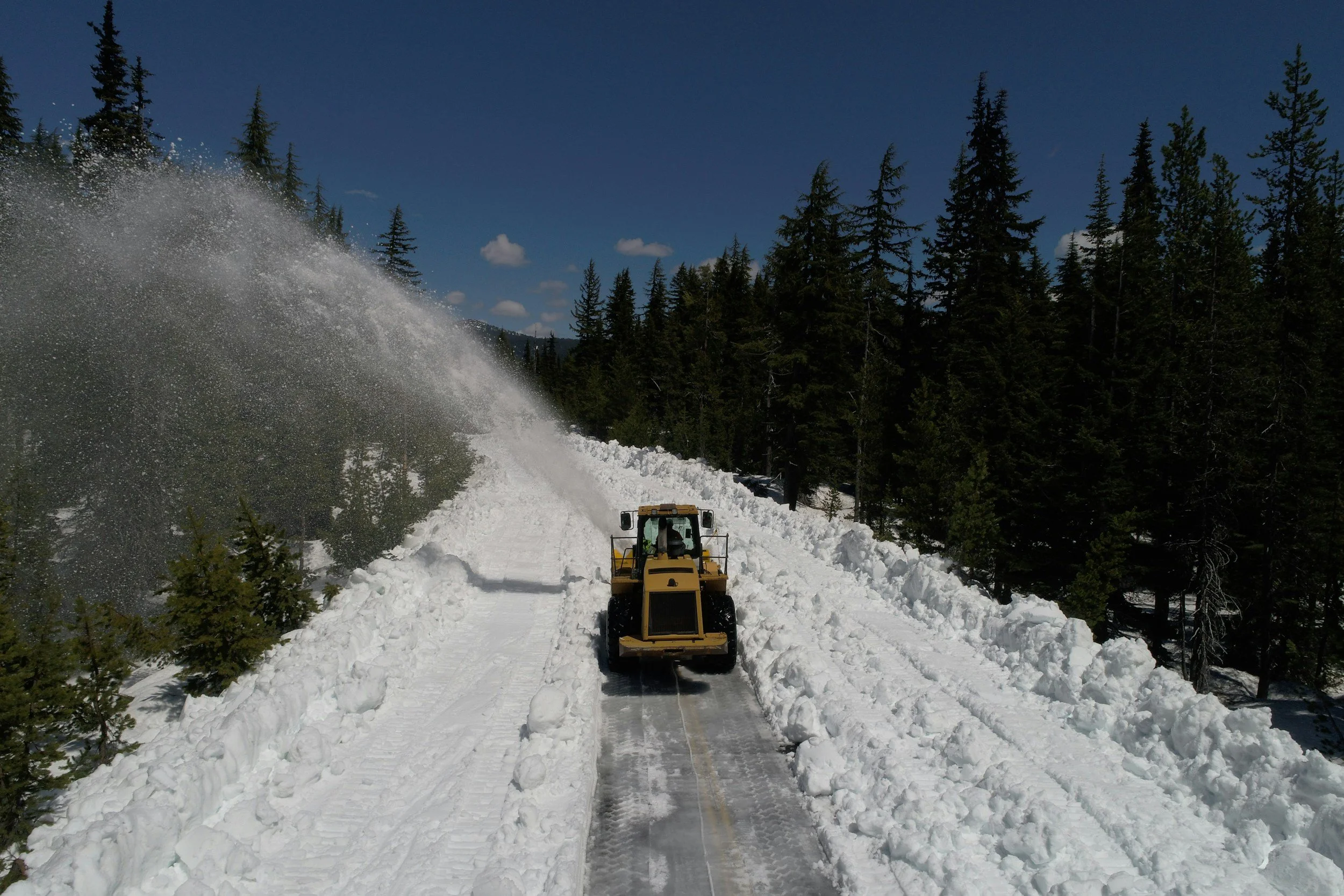 A snow plow clearing snow on a mountain road surrounded by tall pine trees under a blue sky.