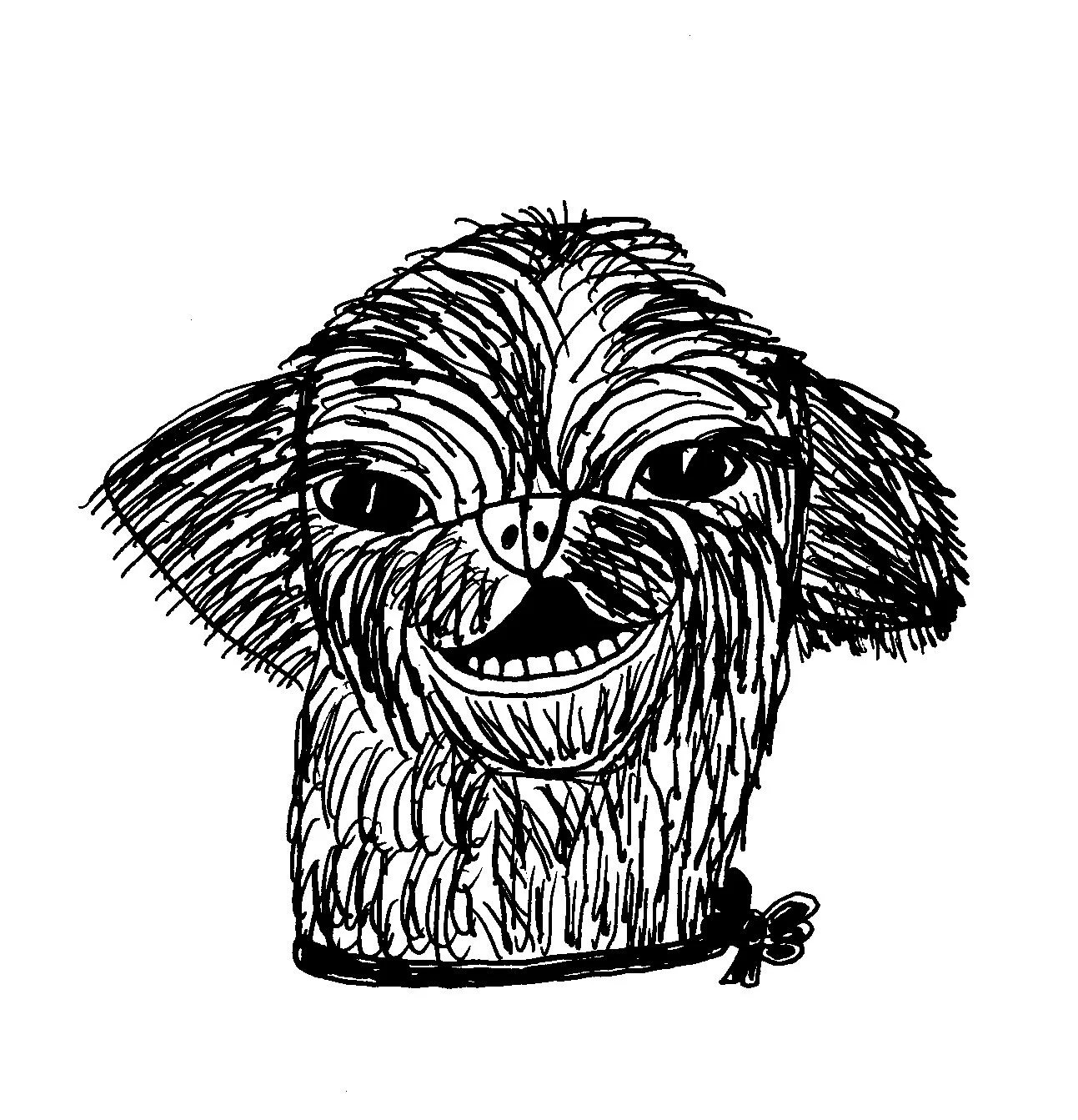 hairydog.jpg