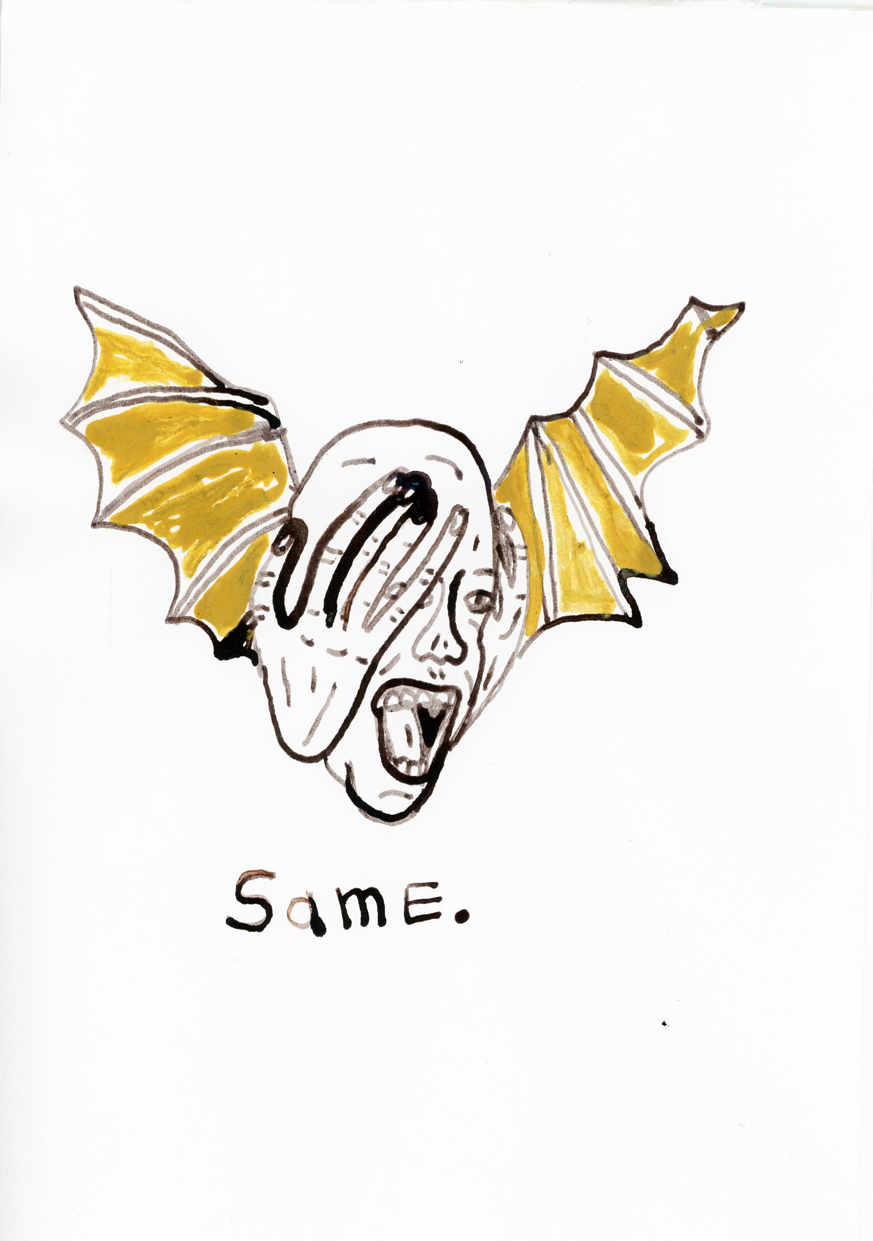 sketches202420250107_18404089.jpg