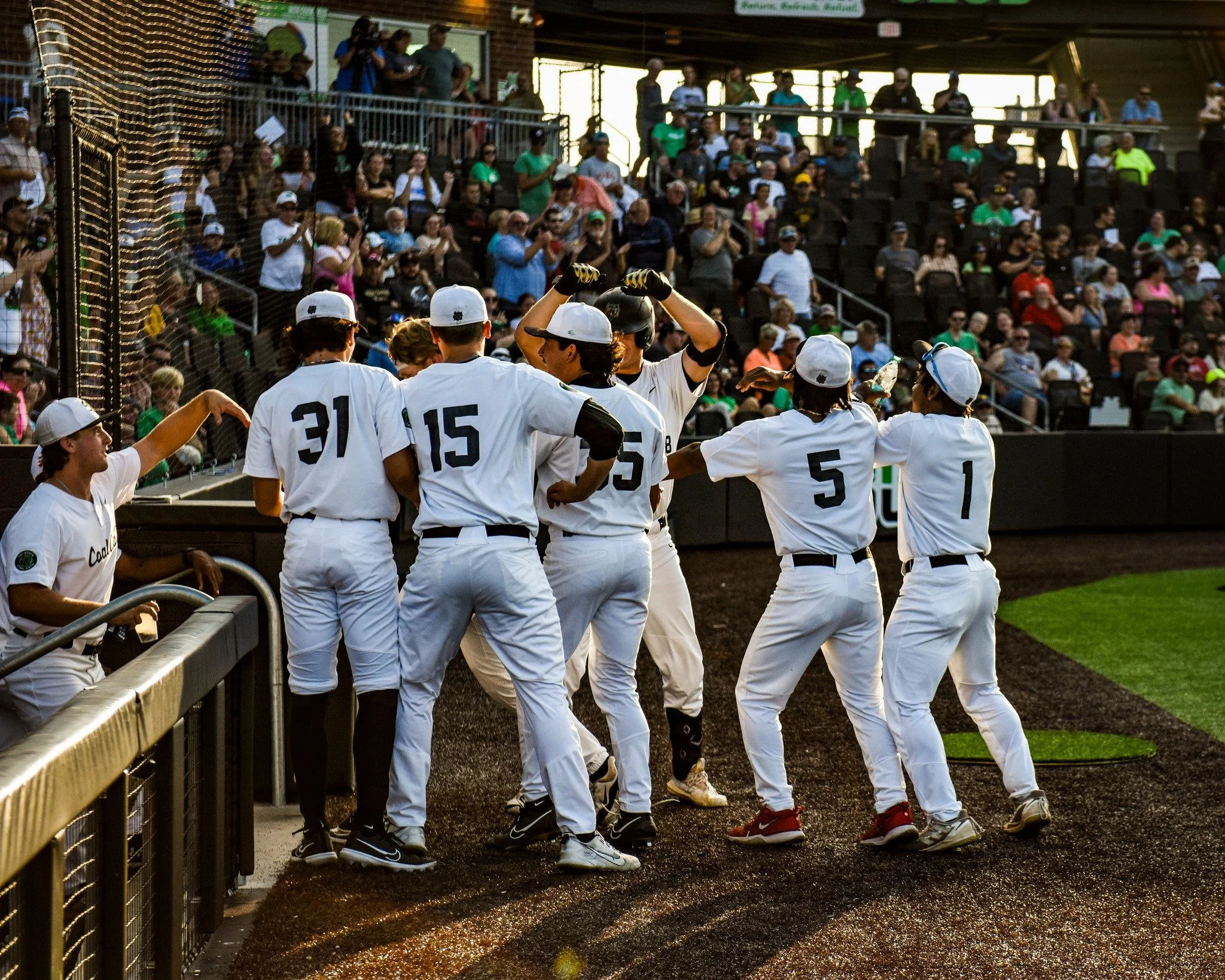 Baseball players in white uniforms celebrating near the dugout, with fans watching from the stands.