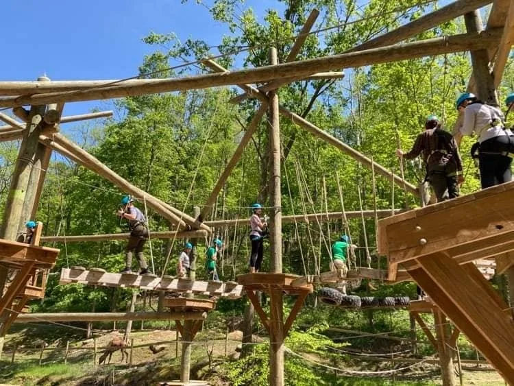 People wearing helmets walking on a wooden rope bridge in a forested outdoor adventure park.