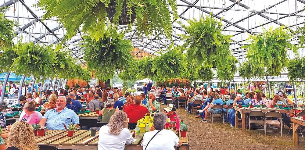 A large group of people sitting at long tables inside a greenhouse with hanging green ferns overhead.
