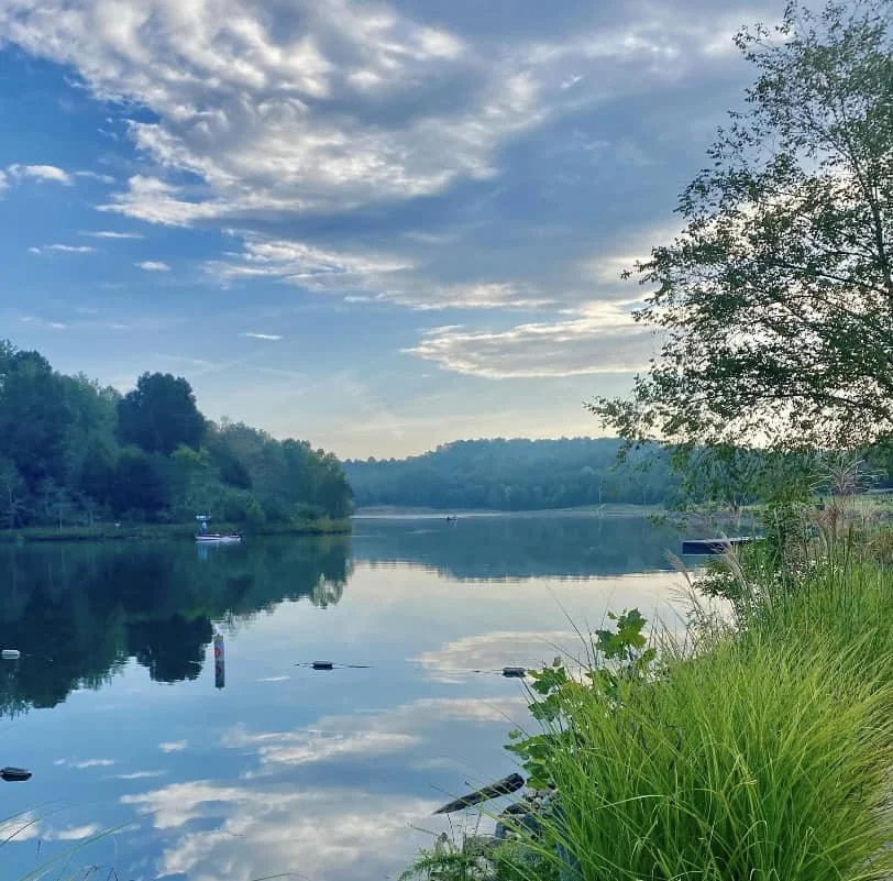 Calm river reflecting a cloudy sky with green trees on the riverbank and a boat in the distance.