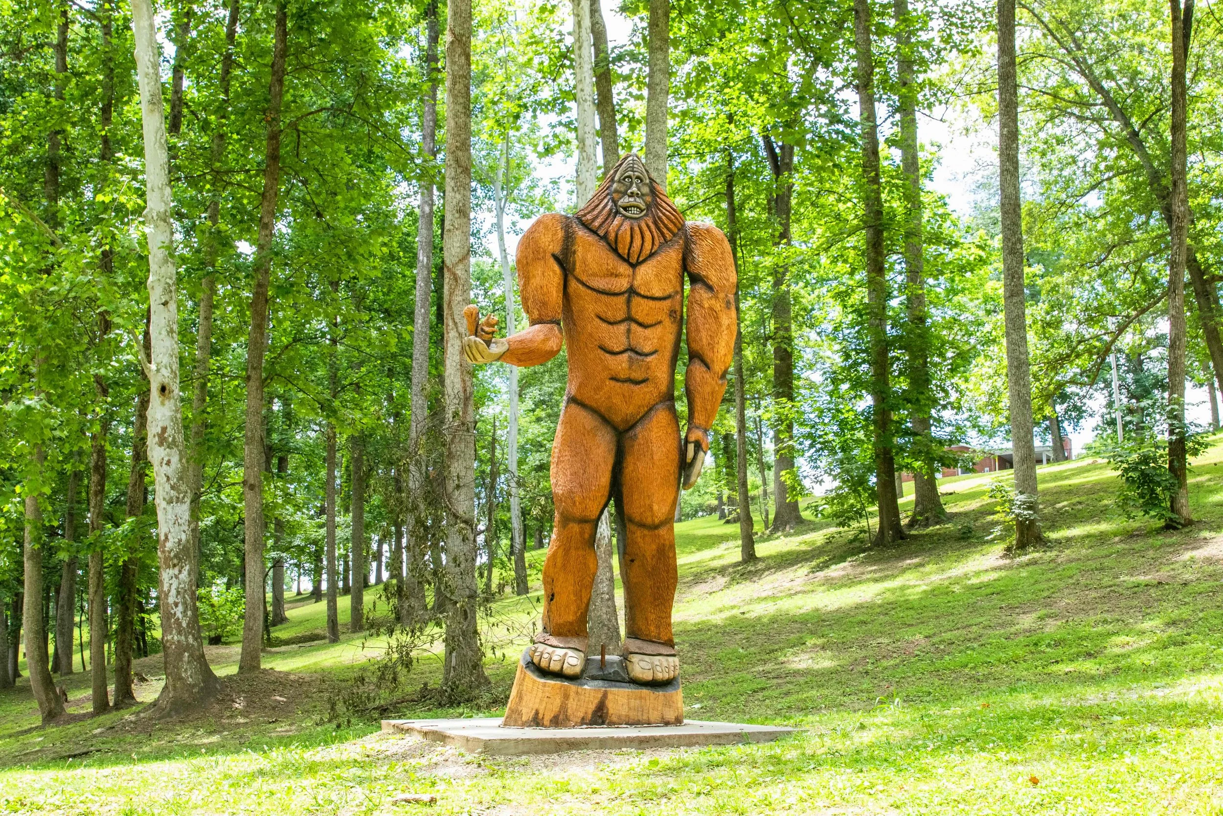Wooden sculpture of a muscular Bigfoot or Sasquatch with a beard in a forest with green trees