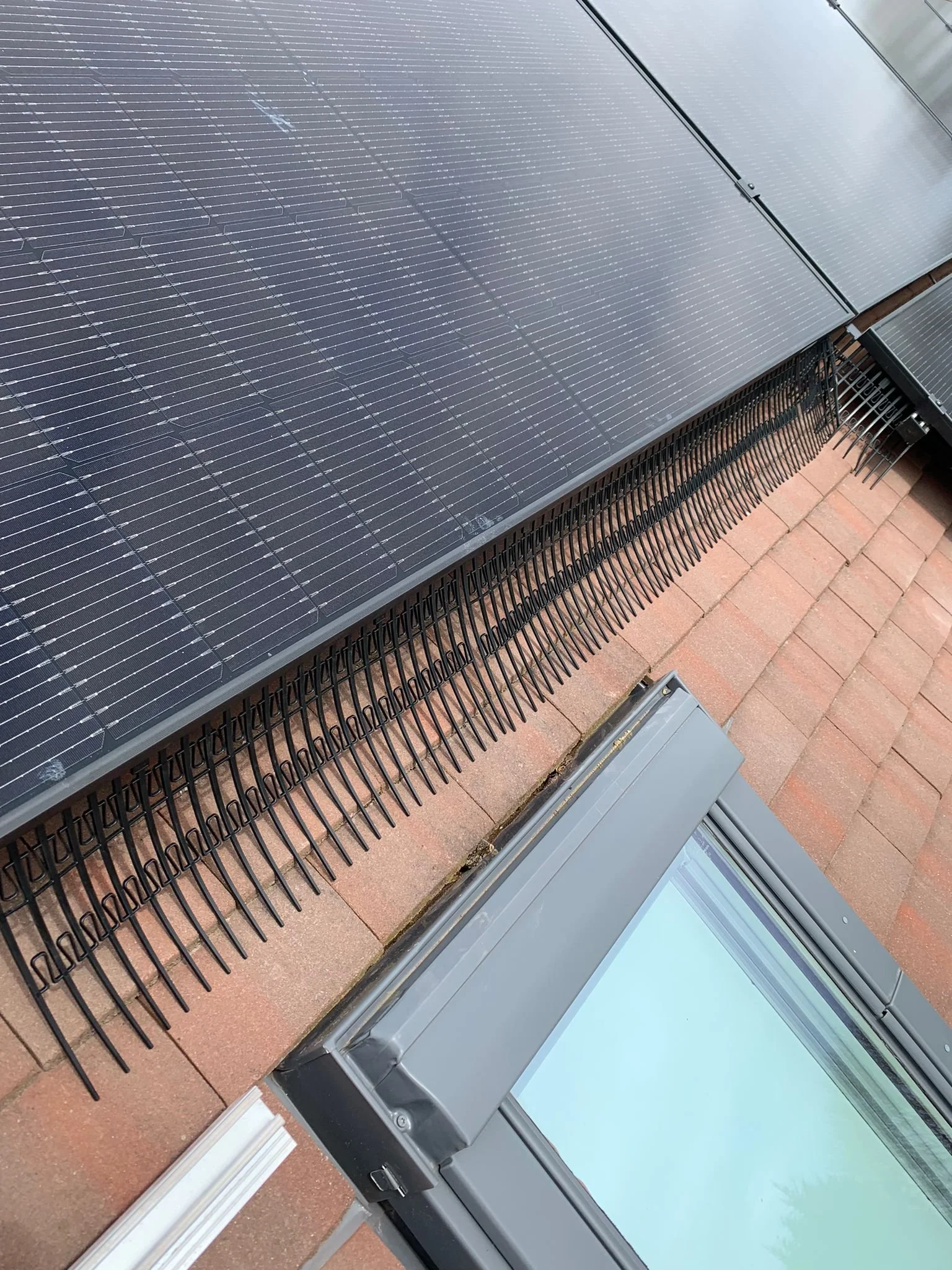 Solar panels on a rooftop above a window with a dust guard on bricks