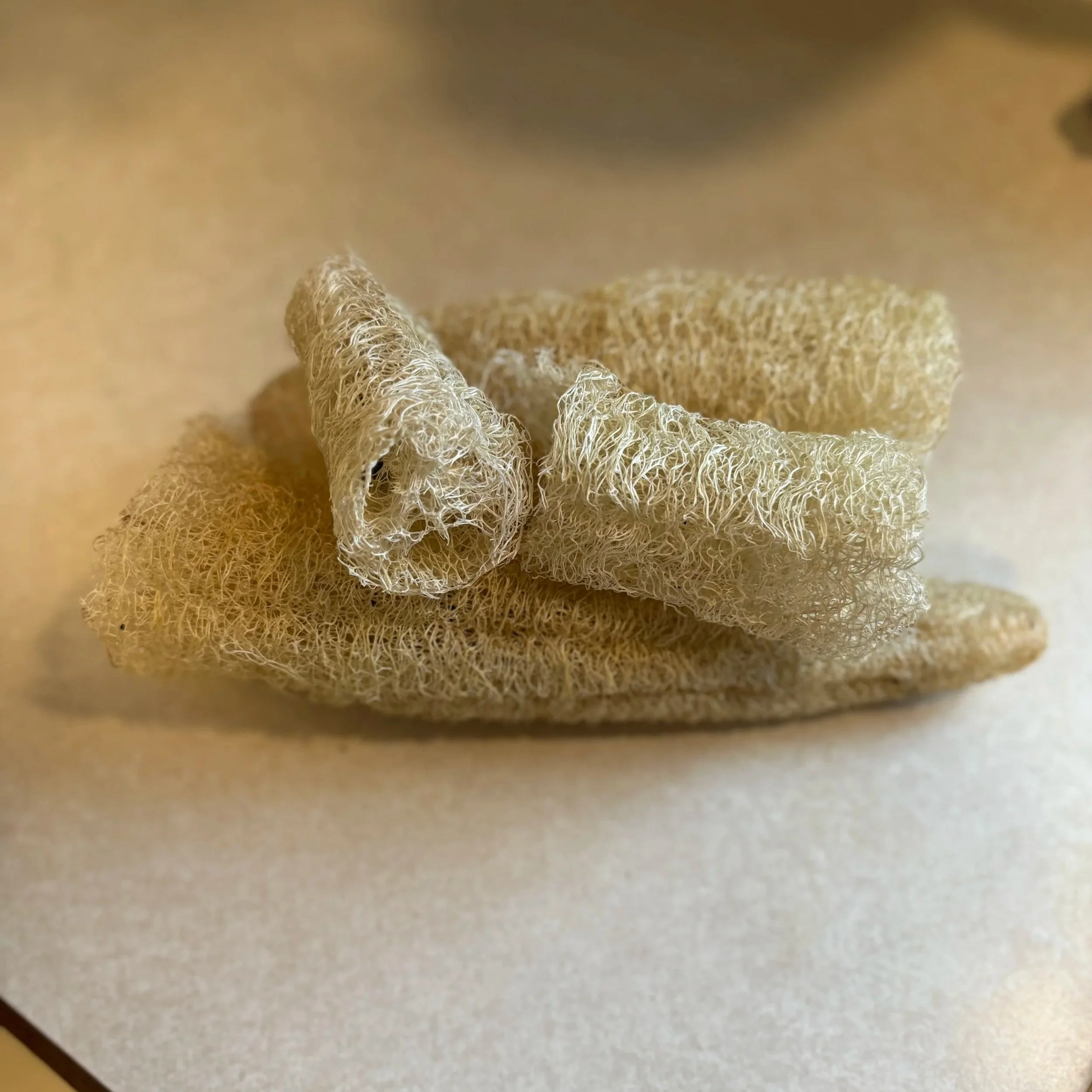 Luffa plant