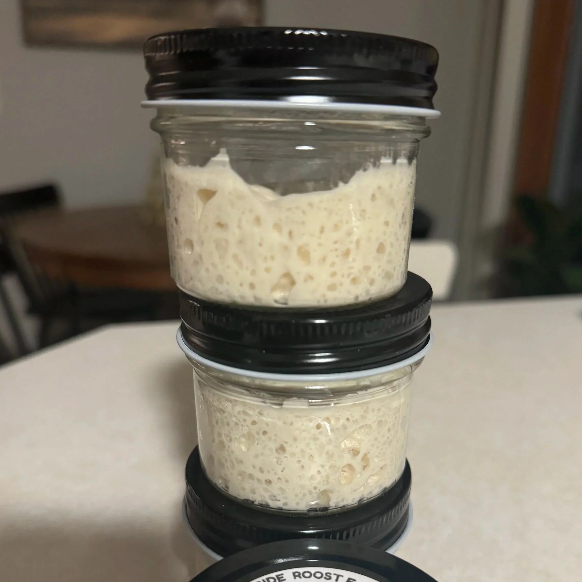 Active Starter - How to grow it
